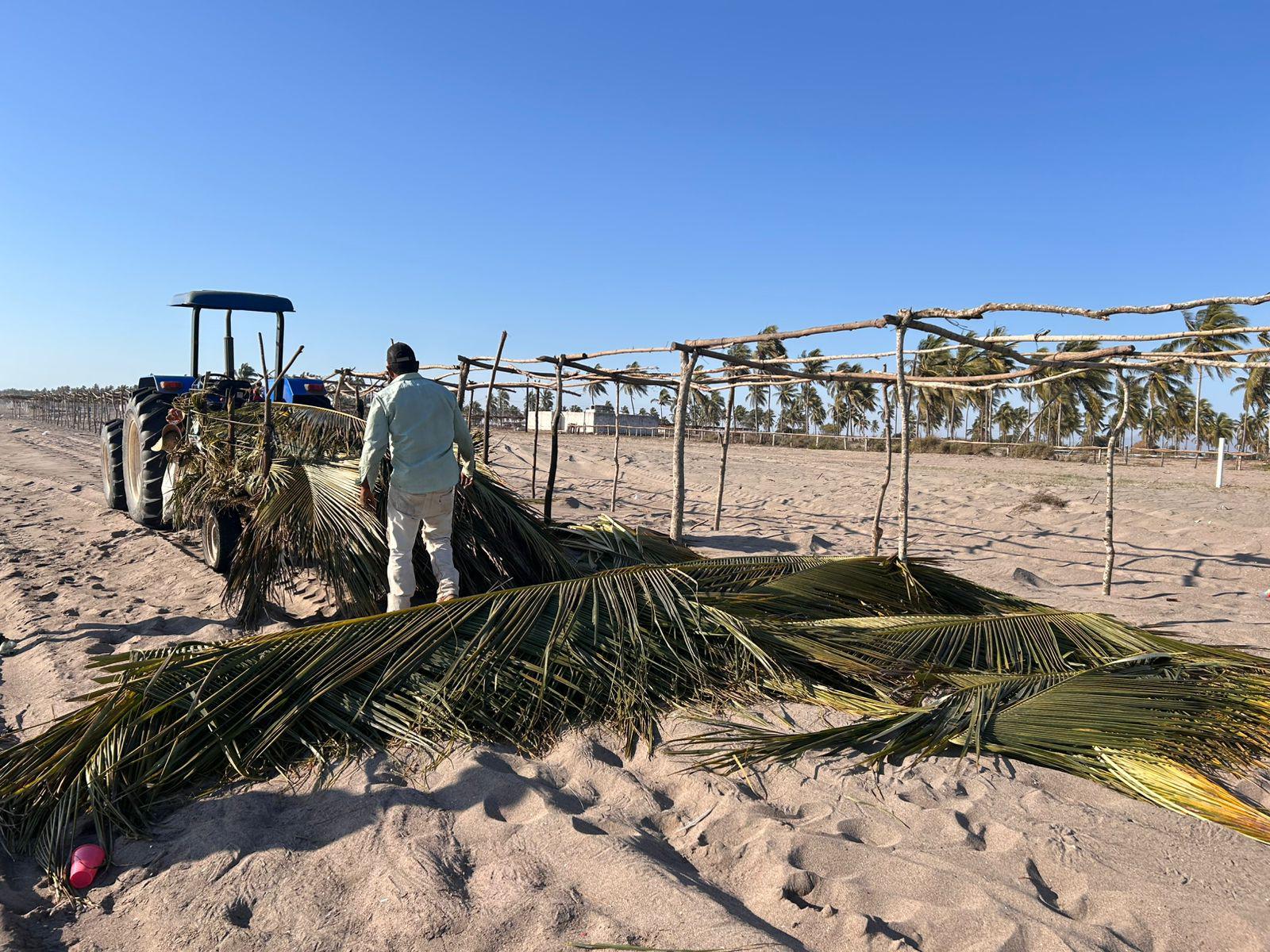 $!Avanza construcción de enramadas para las Fiestas del Mar de Las Cabras en Escuinapa