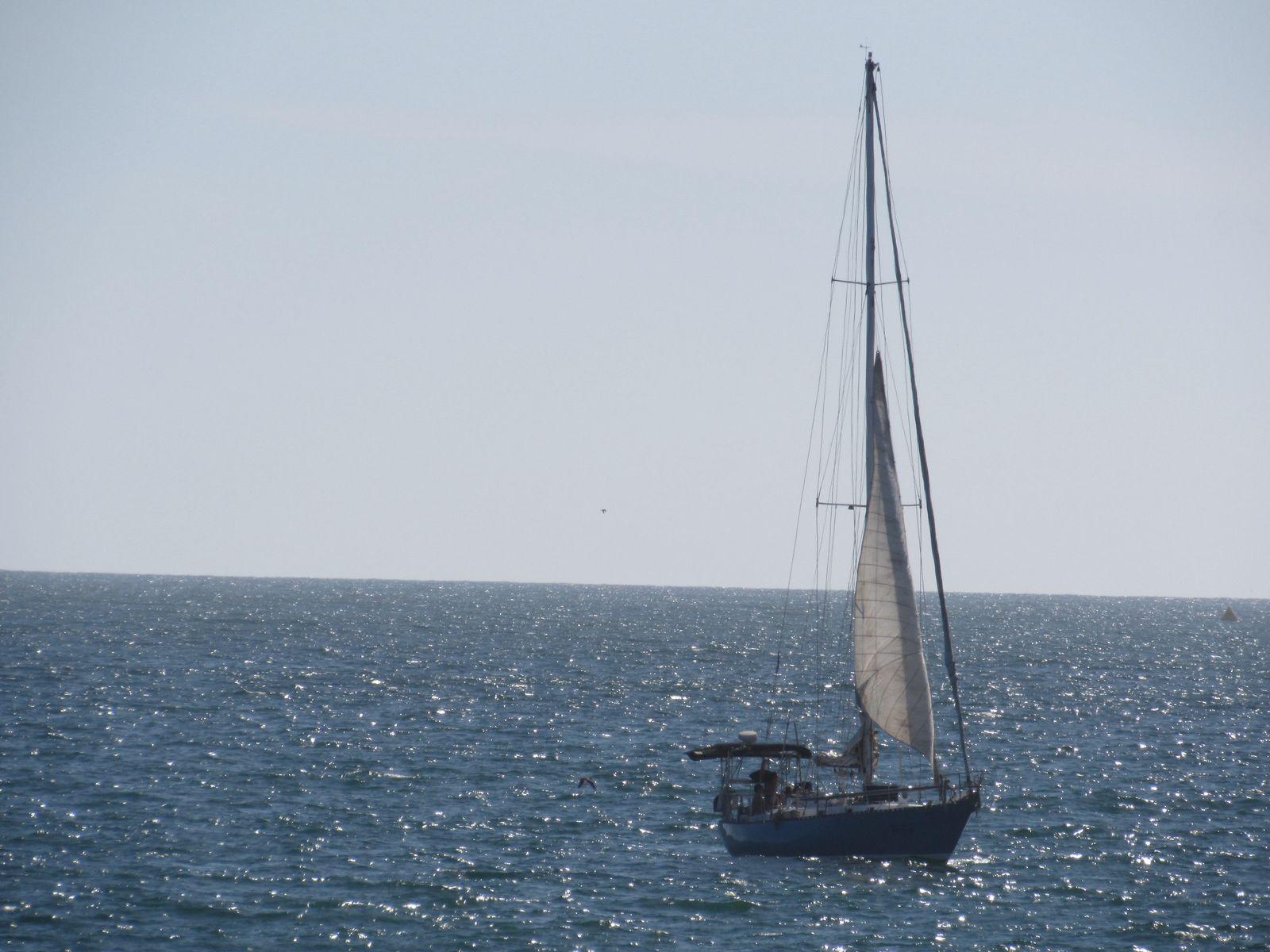 $!Fortalece el ‘Festival del Mar’ la actividad náutica en Mazatlán