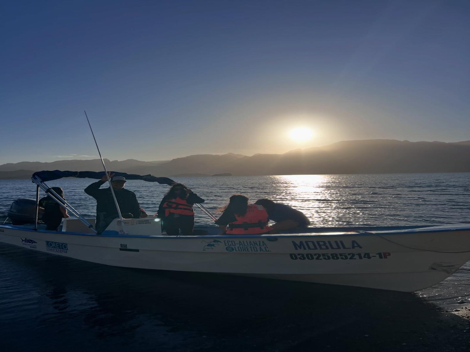 $!Asociaciones rechazan a cruceros en Puerto de Loreto, Baja California Sur; ‘es una amenaza a ballena azul’, señalan