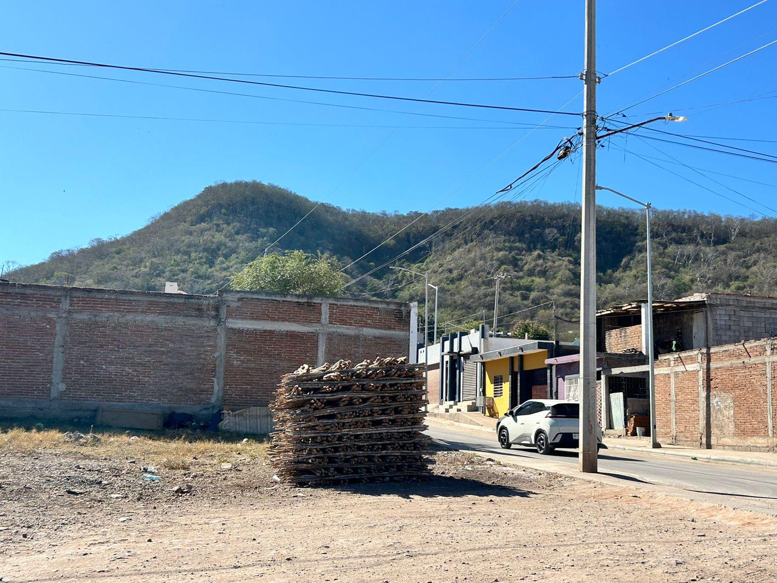 $!Denuncian tala clandestina en ejido Siete Gotas, en Culiacán