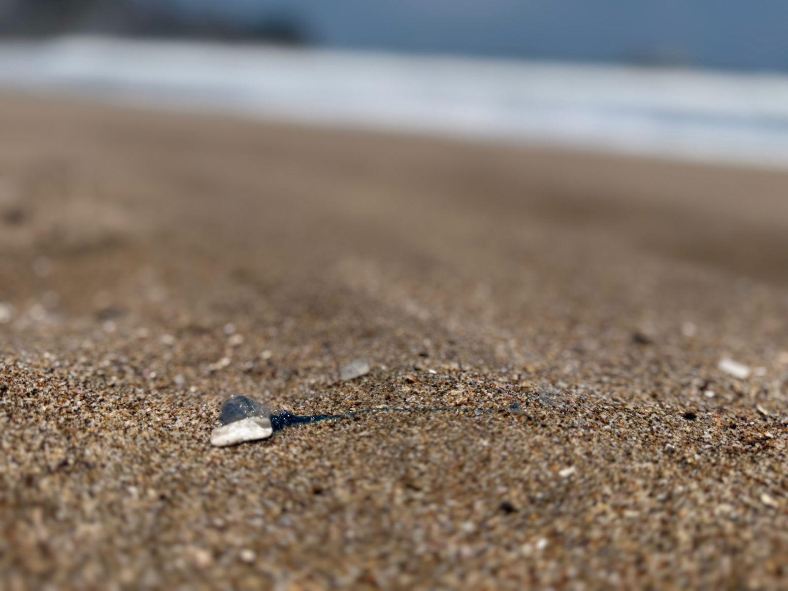 $!Continúa mar de fondo en Mazatlán y podría extenderse hasta el fin de semana