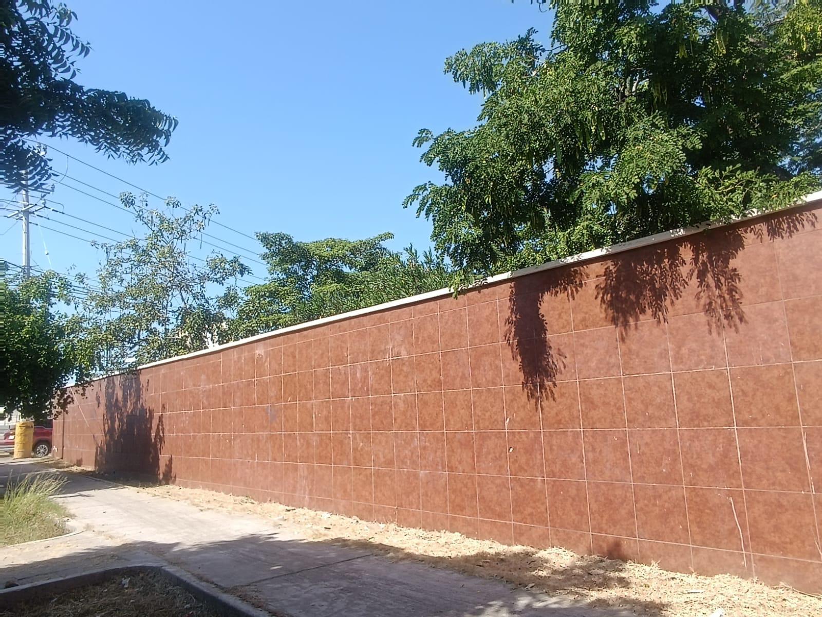 $!Solicita directora de la Secundaria ‘Genaro Estrada’ apoyo de Gobierno para mejoras en la institución