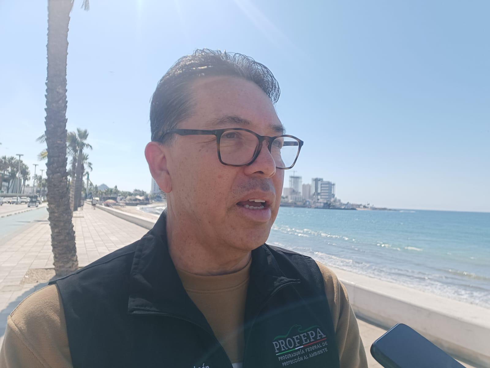 $!Clausura Profepa construcción de posible palapa en playas de Mazatlán