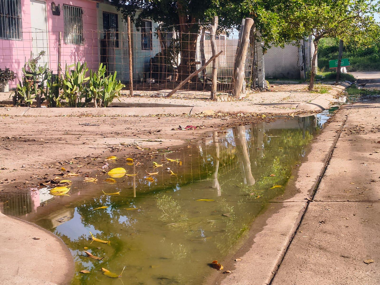 $!Vecinos de Fraccionamiento Virreyes, en Los Mochis, reclaman resolver colapso de drenajes y focos de infección