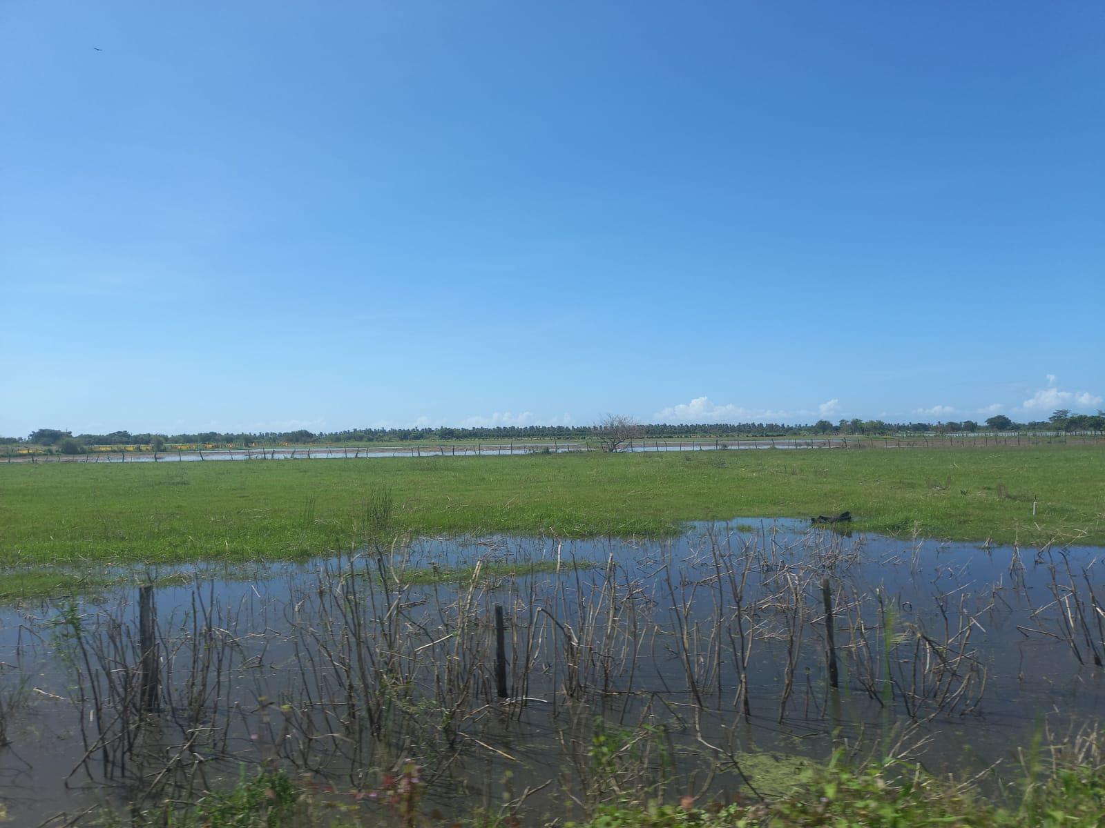 $!Lluvias que provocó el huracán Pamela ocasionan retraso en siembra de hortalizas en Escuinapa
