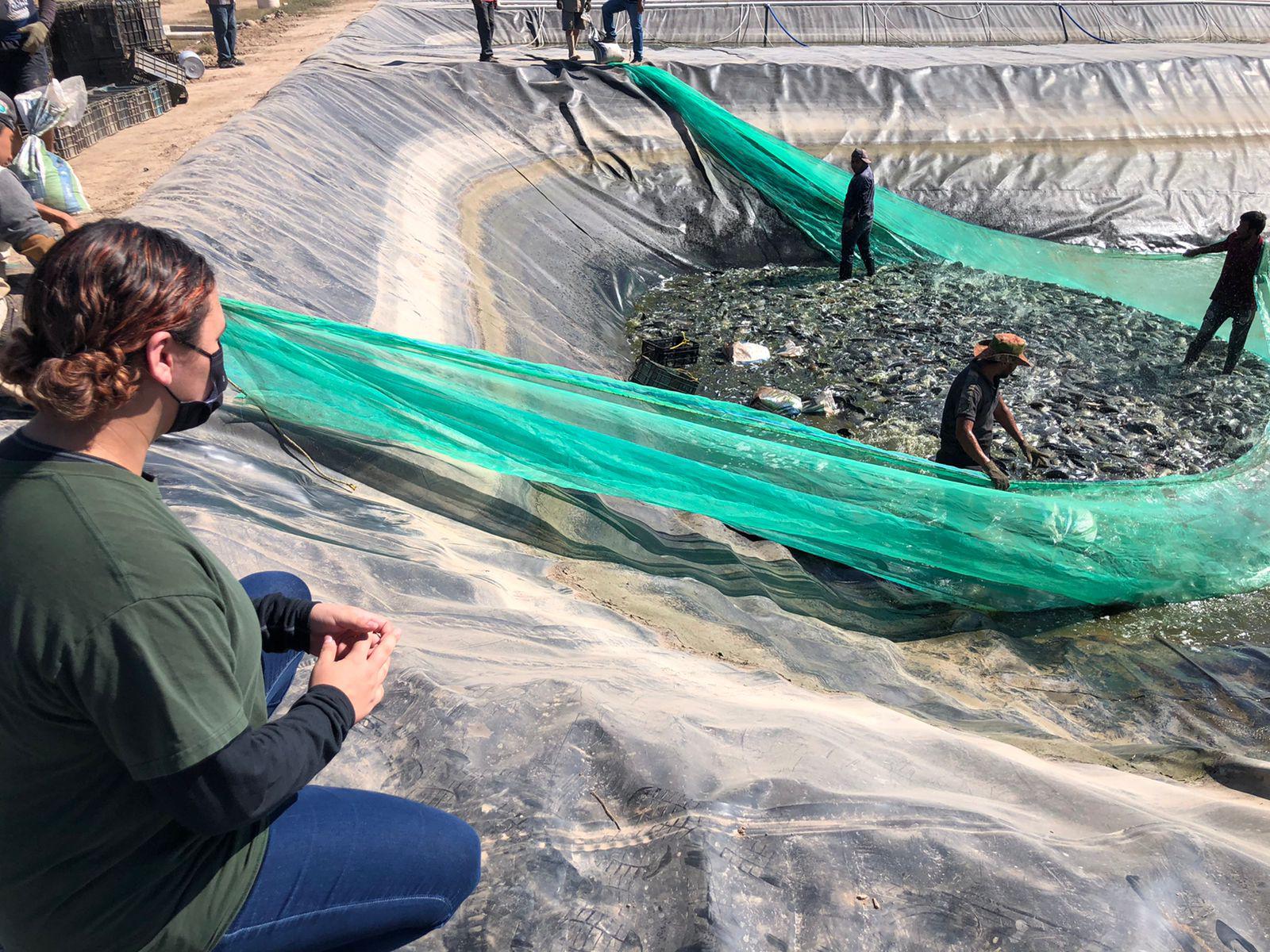 $!Oxfish está creado para apoyar a comunidades de escasos recursos o en vías de desarrollo.