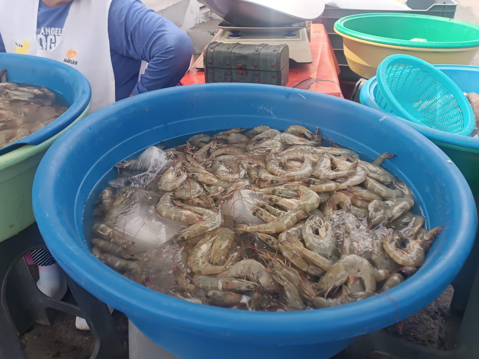 $!Changueras de Mazatlán aspiran a impulsar sus ventas a un 80% en la temporada de Carnaval