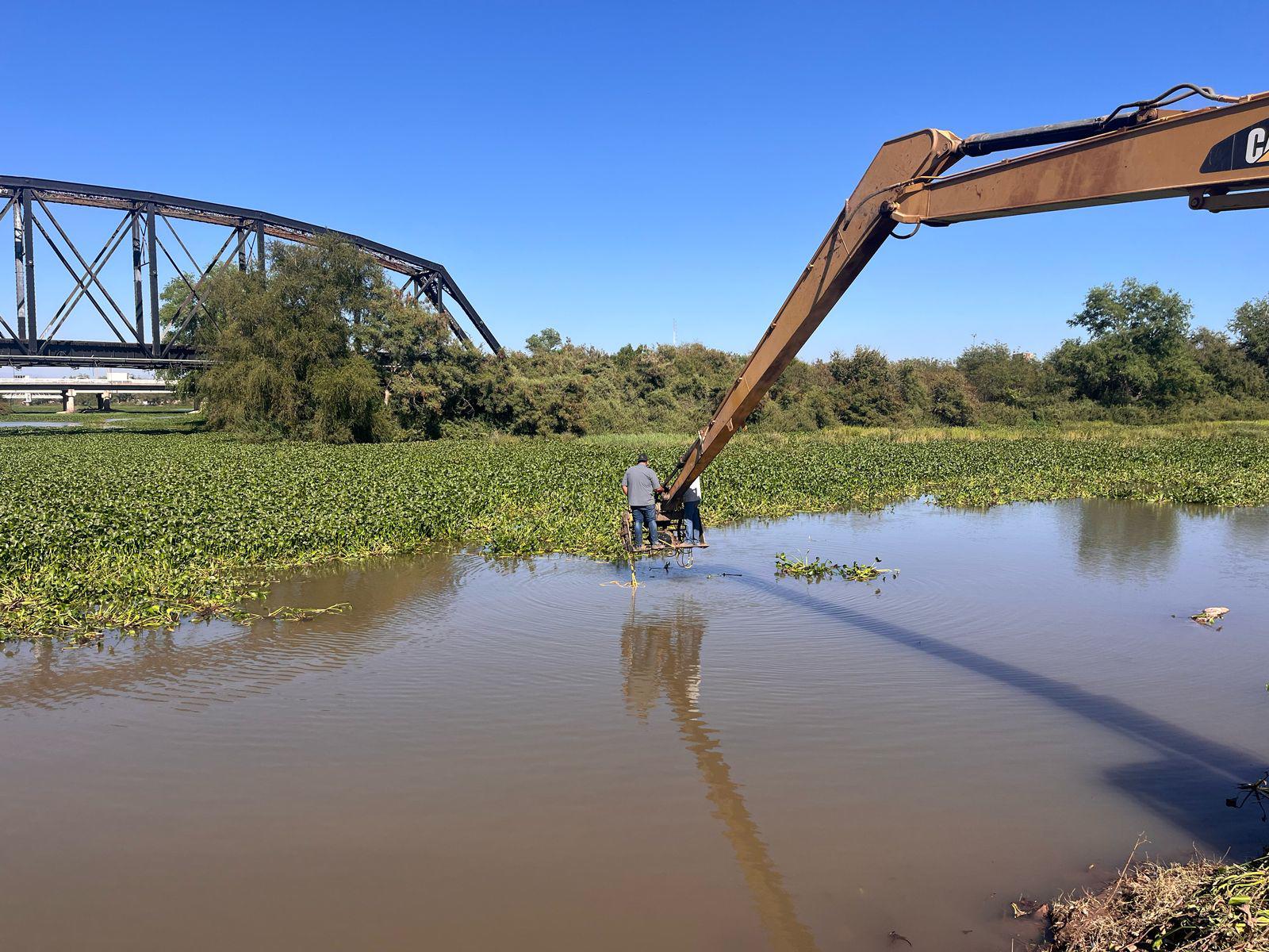 $!A diario, el Ayuntamiento de Culiacán saca 200 góndolas de lirio acuático de los ríos