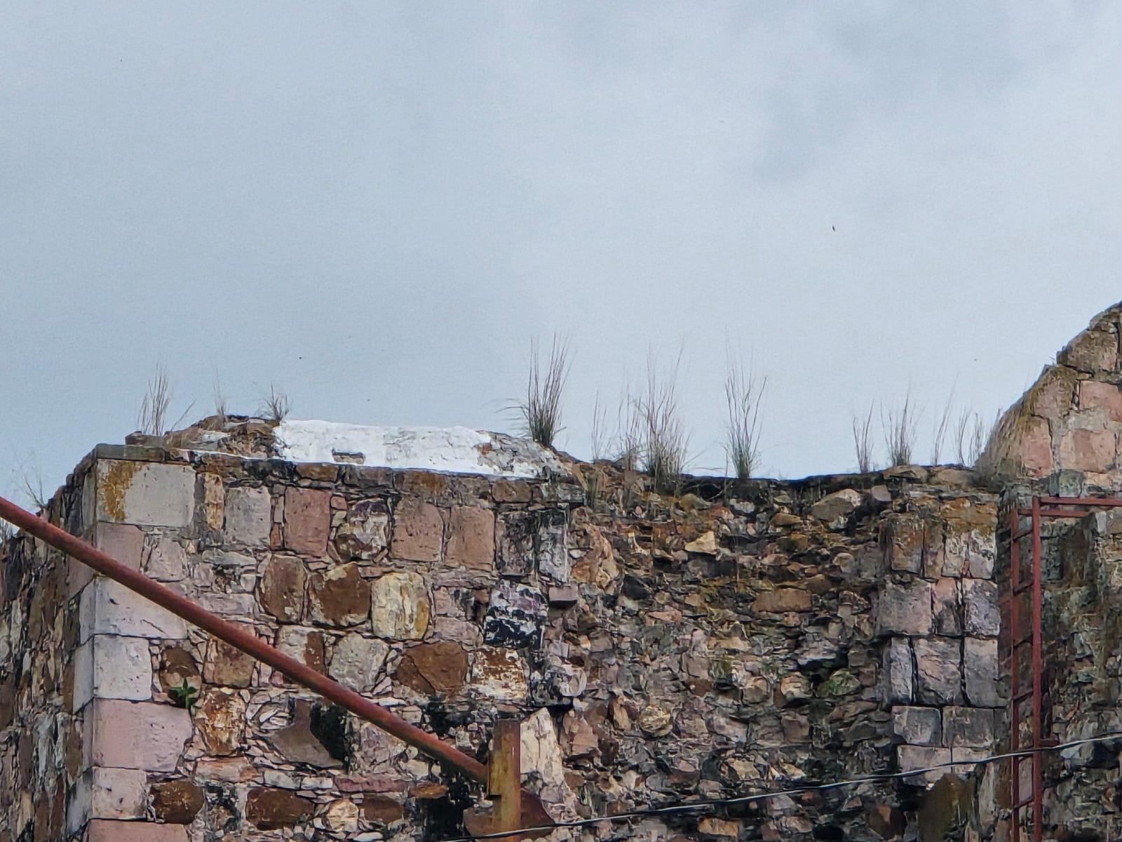 $!Ruinas del templo antiguo de Rosario aquejadas por maleza y enjambre de abejas