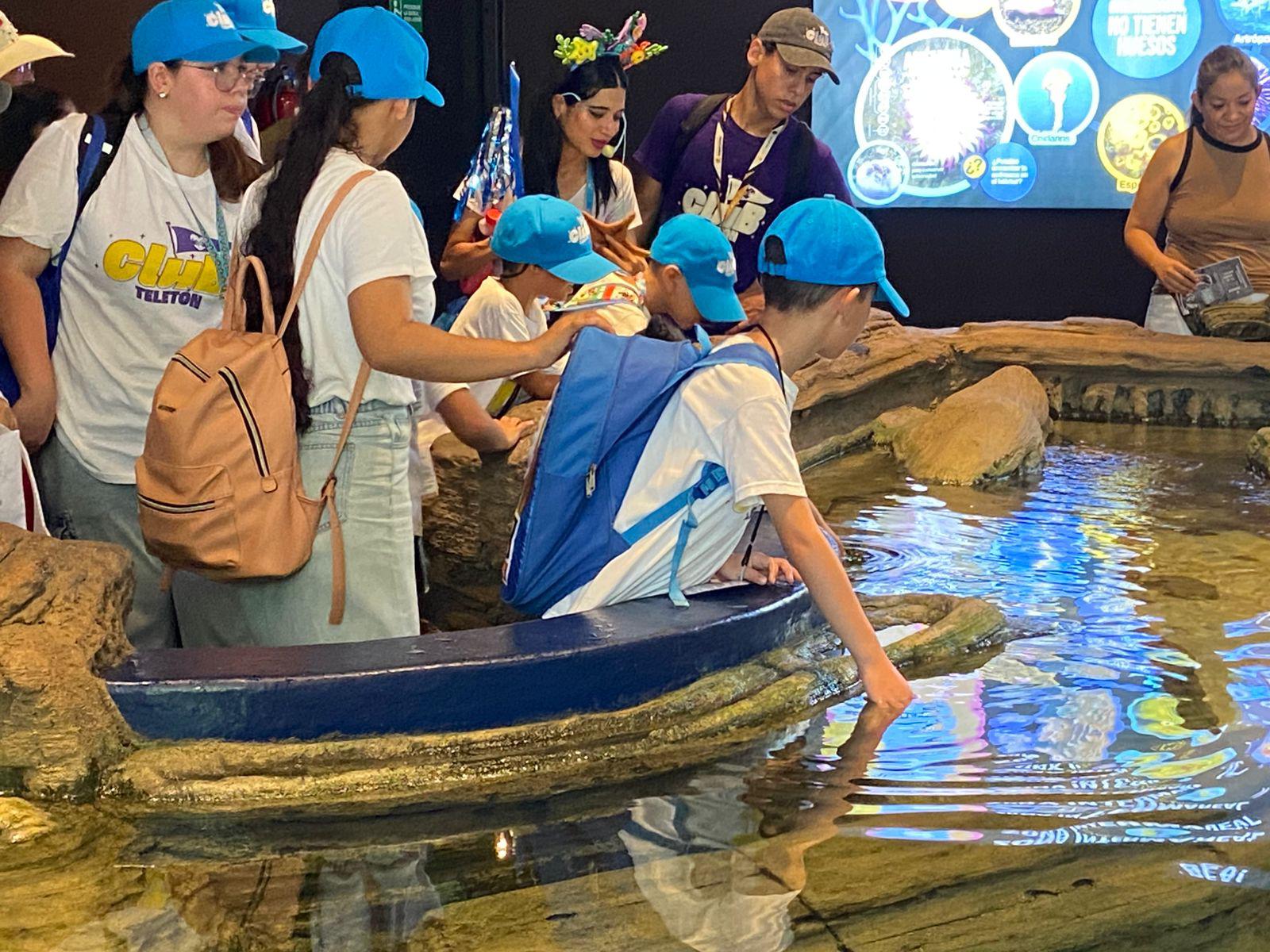 $!Niños del CRIT Sinaloa visitan el Gran Acuario Mazatlán
