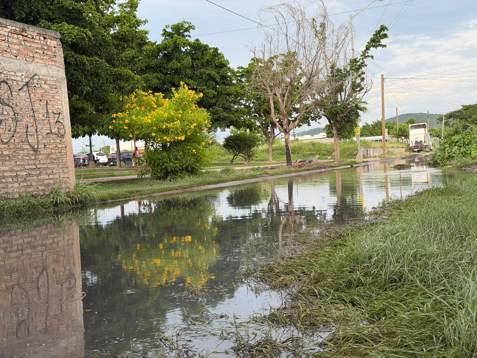 $!Exigen solución a derrame de aguas negras en Bugambilias-La Esperanza