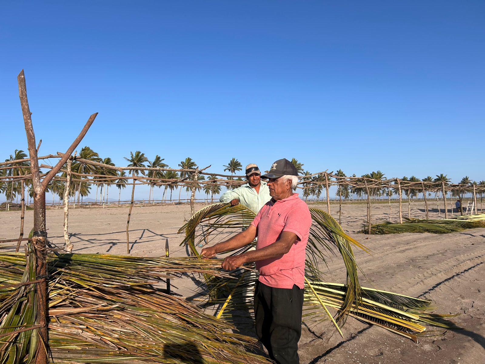 $!Avanza construcción de enramadas para las Fiestas del Mar de Las Cabras en Escuinapa