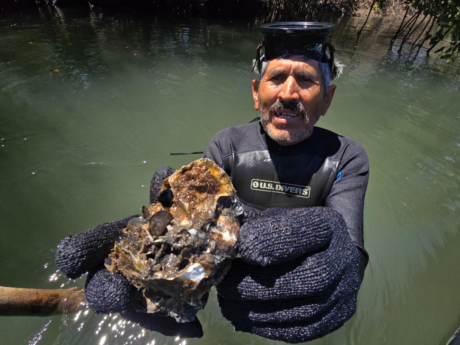 $!Marco Antonio tiene más de 40 años como productor de ostión al elegir la pesca por profesión en Chametla