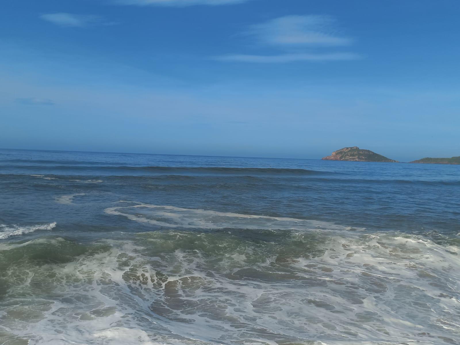 $!Marejadas arrojan contaminación y peces muertos a playas de Mazatlán; persiste alerta por tormentas