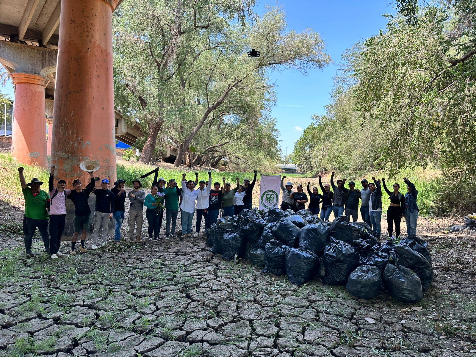 $!Sacan 5.5 toneladas de lirio acuático del río en Culiacán
