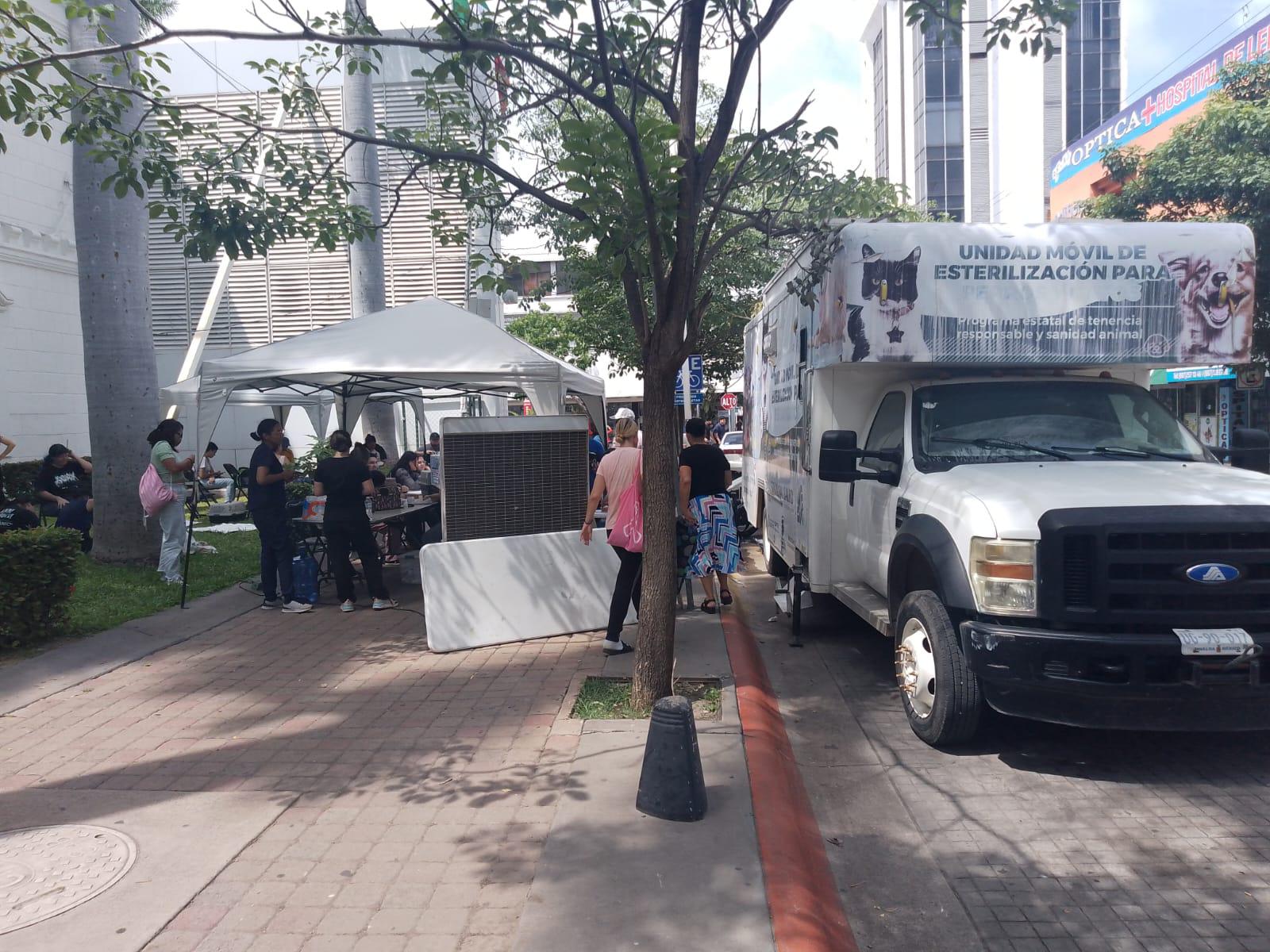 $!Realizan esterilización gratuita de perros y gatos junto al Ayuntamiento de Culiacán