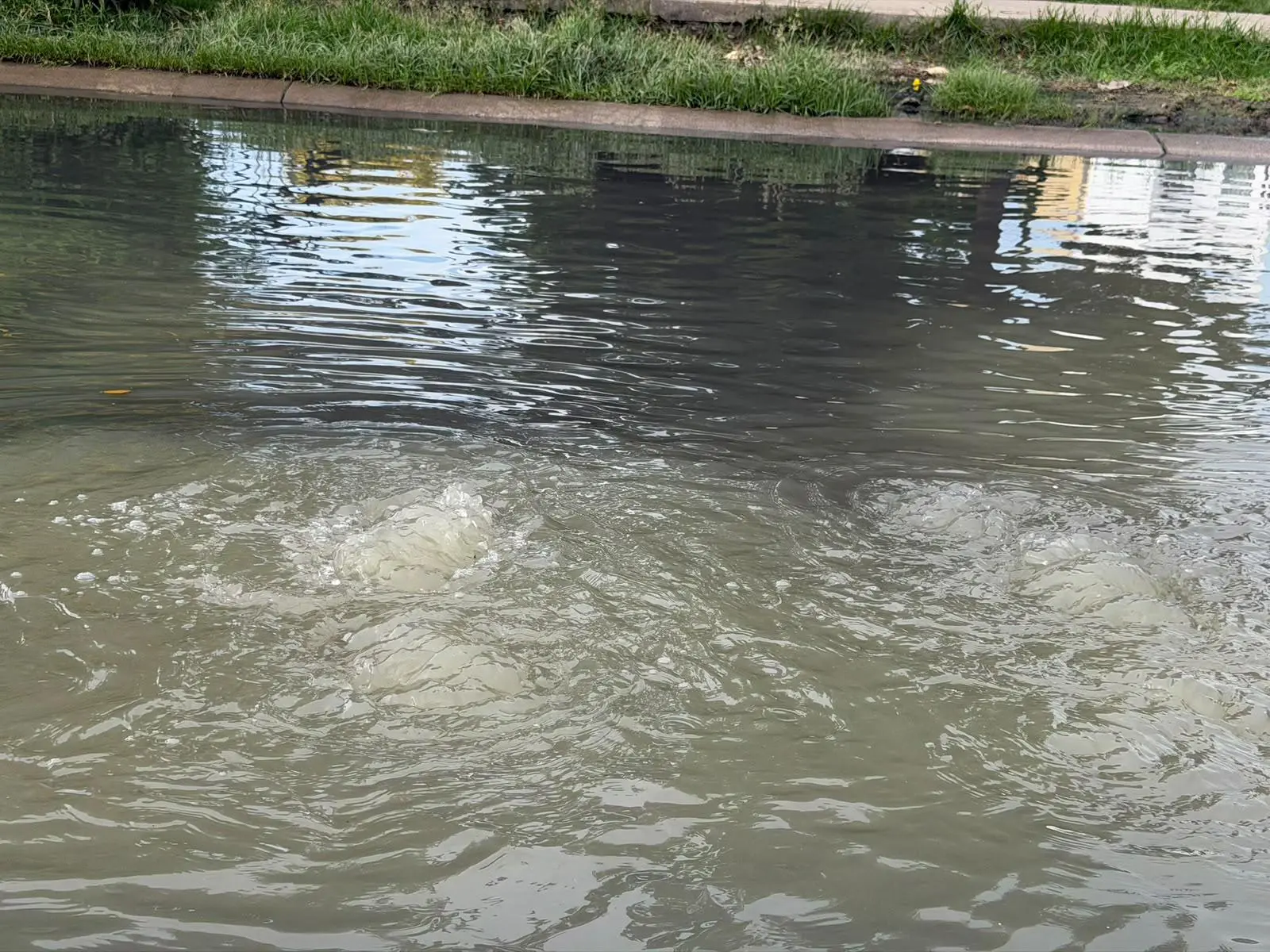 $!Exigen solución a derrame de aguas negras en Bugambilias-La Esperanza