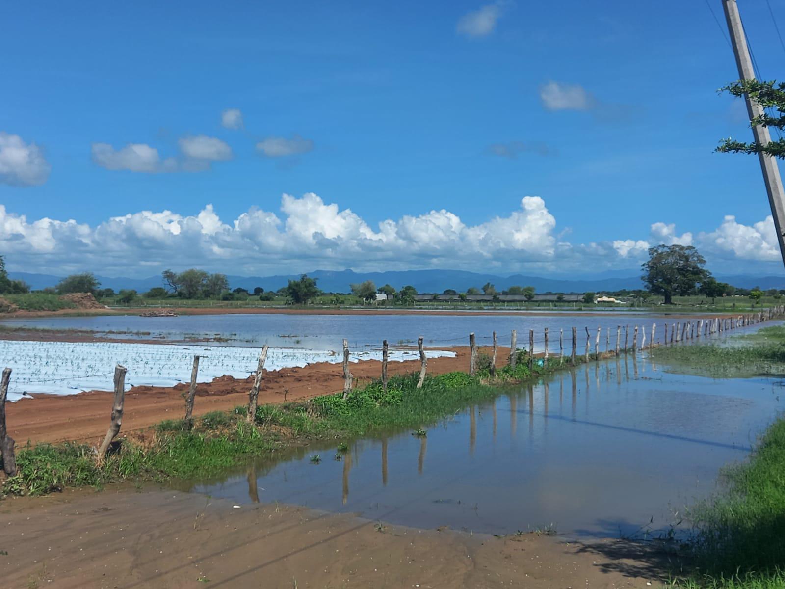 $!Lluvias que provocó el huracán Pamela ocasionan retraso en siembra de hortalizas en Escuinapa