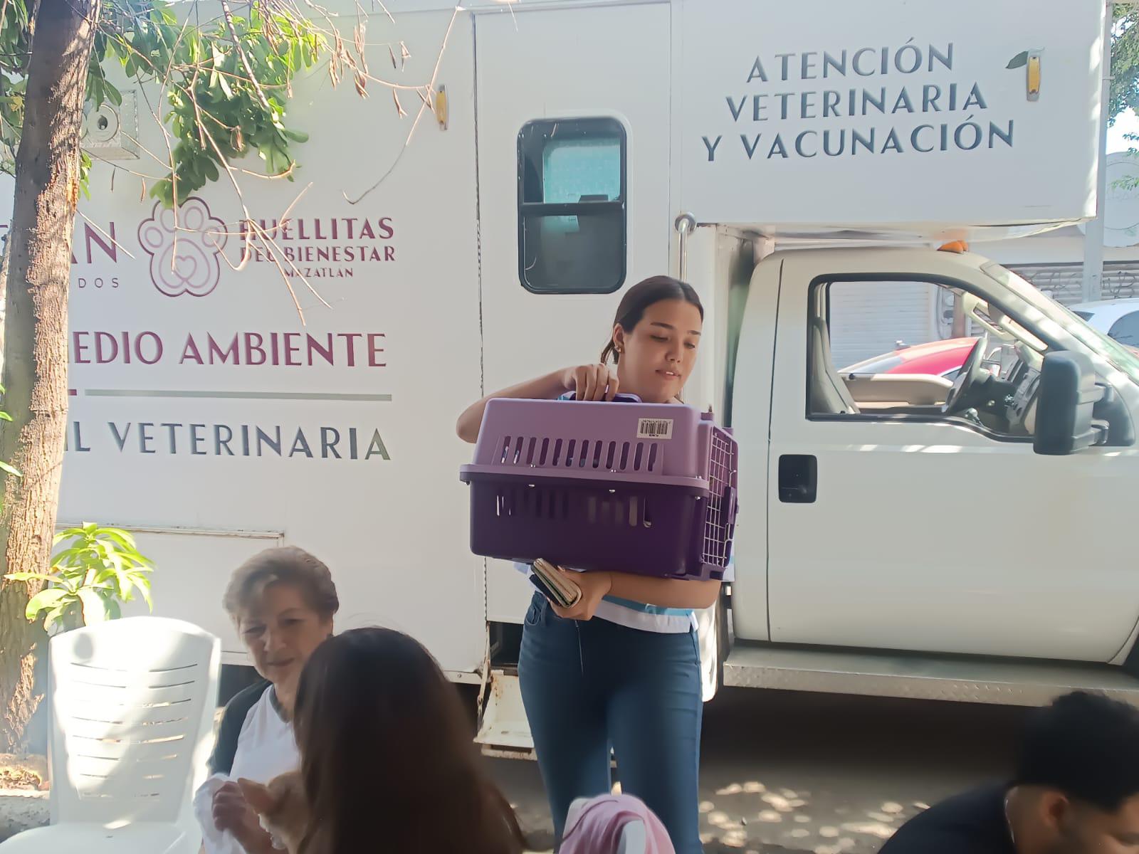 $!Se suman vecinos de la Francisco Solís a la campaña de esterilización animal de Ecología de Mazatlán