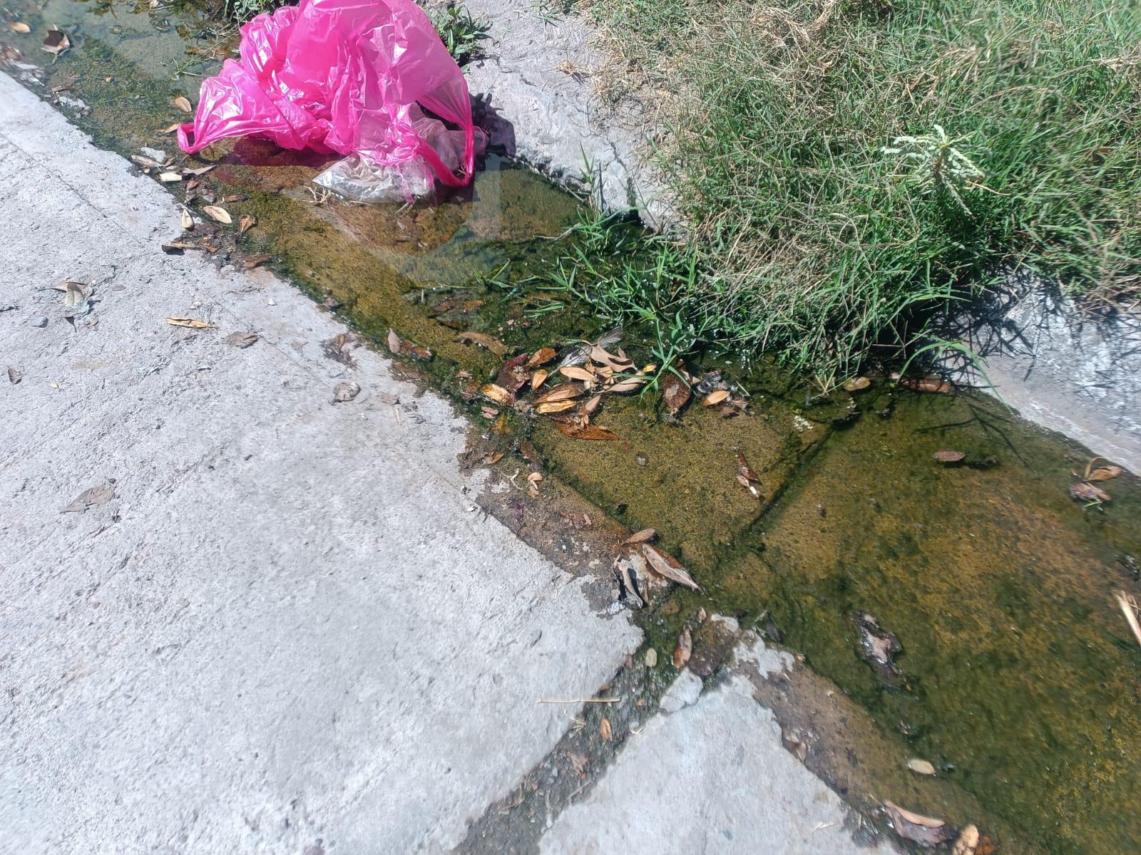 $!Alertan vecinos de Jabalíes por un gran bache que podría provocar accidentes viales