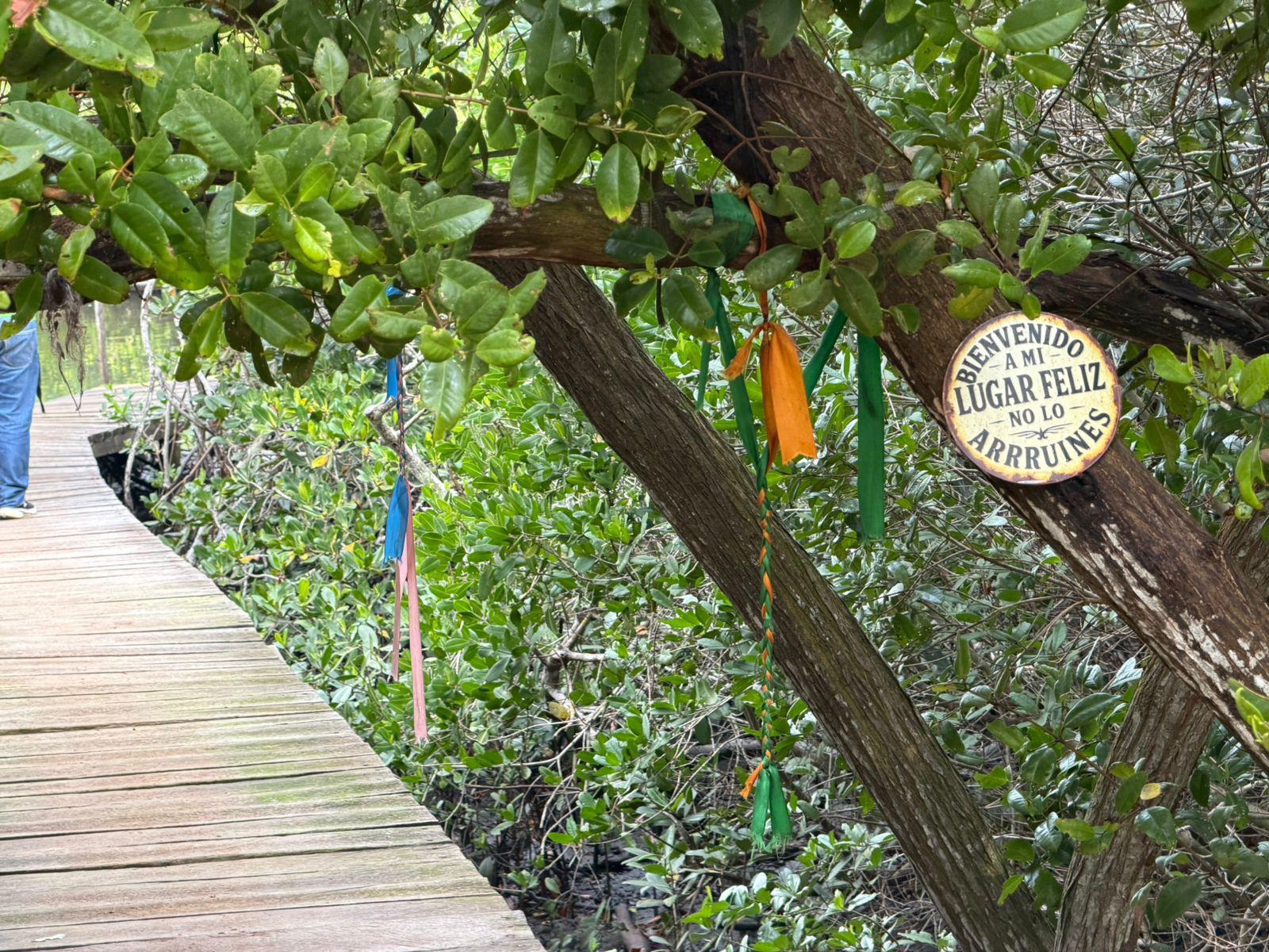 $!Impulsa Sectur turismo regenerativo en humedales y manglares de Mazatlán