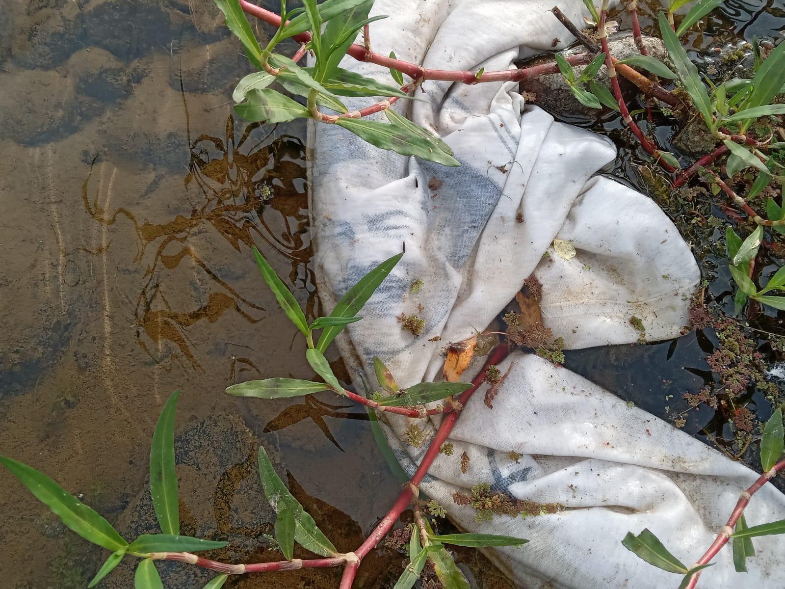 $!Proliferan tiraderos de basura y escombro en el margen del Río Baluarte