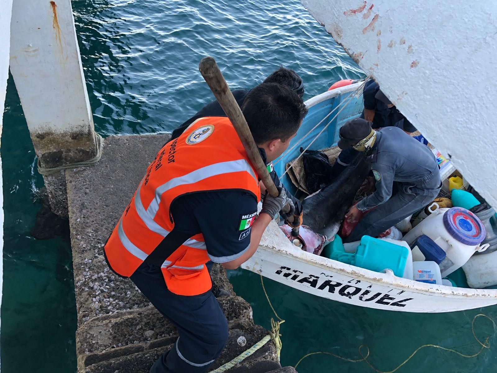 $!Aseguran embarcación con producto del mar en área protegida en Islas Marías, en Nayarit