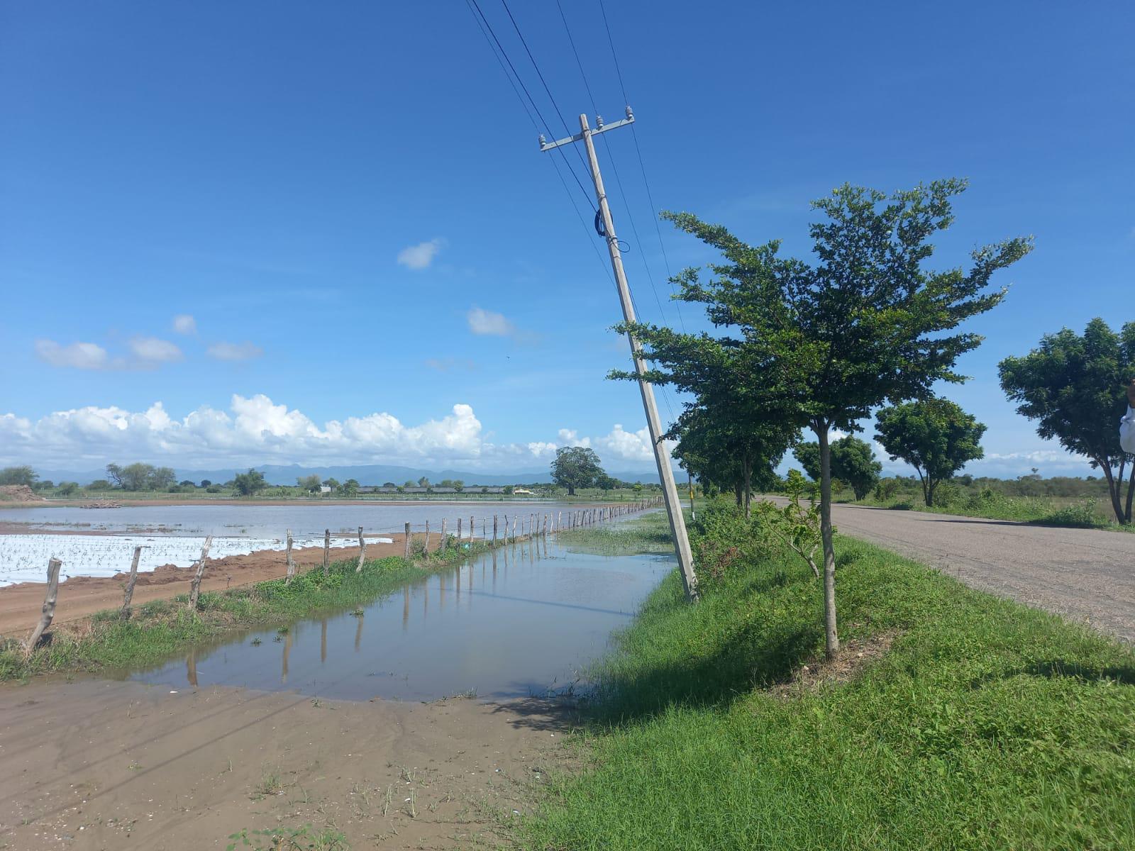 $!Lluvias que provocó el huracán Pamela ocasionan retraso en siembra de hortalizas en Escuinapa