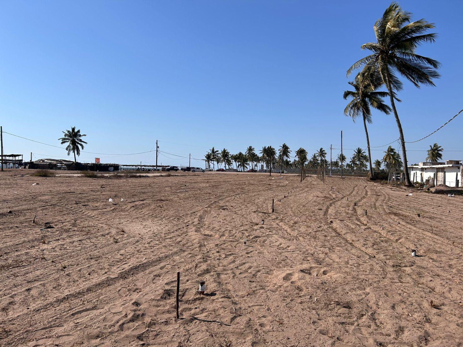 $!Inicia venta de enramadas para Fiestas del Mar de Las Cabras, en Escuinapa