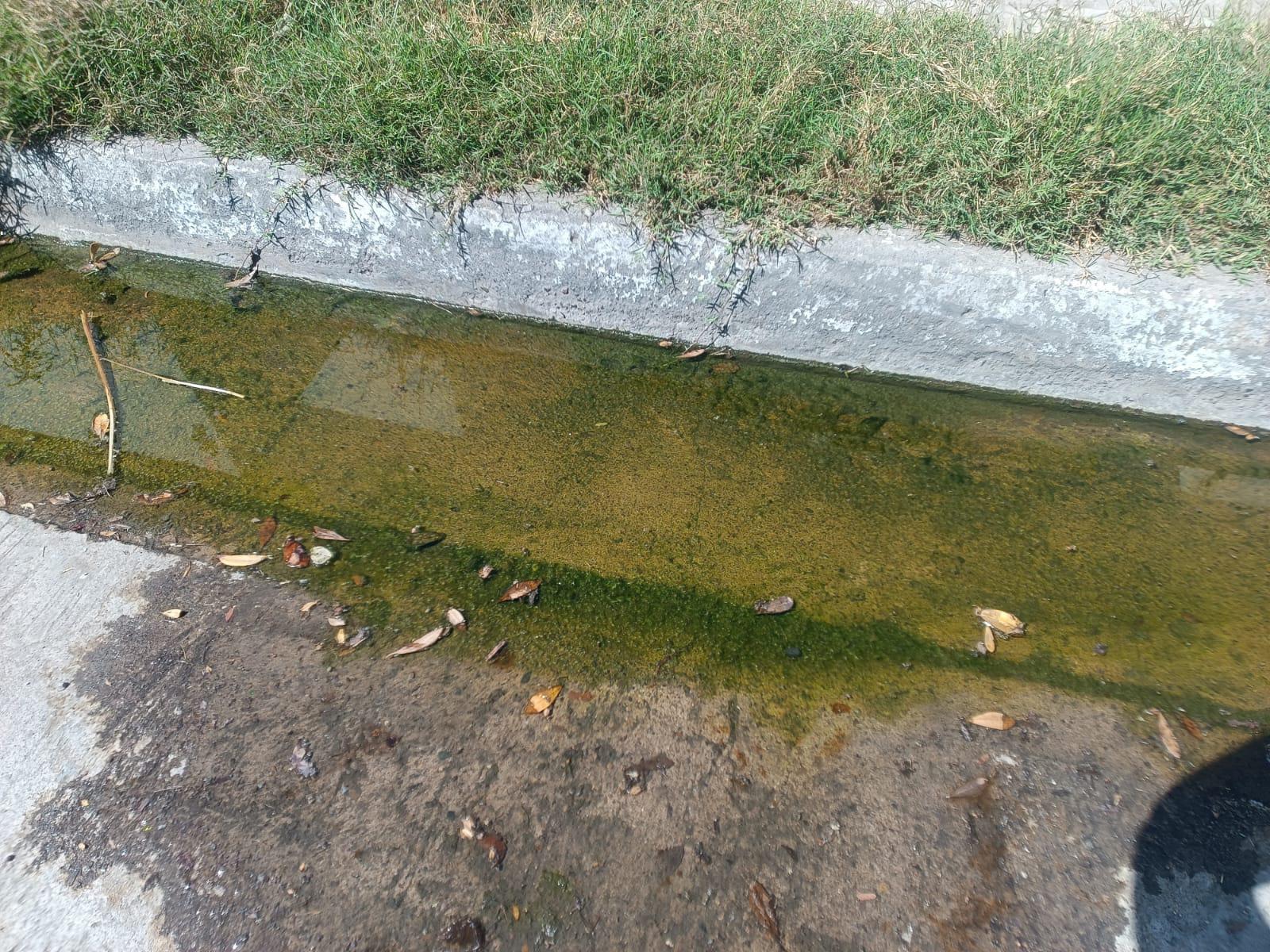 $!Alertan vecinos de Jabalíes por un gran bache que podría provocar accidentes viales