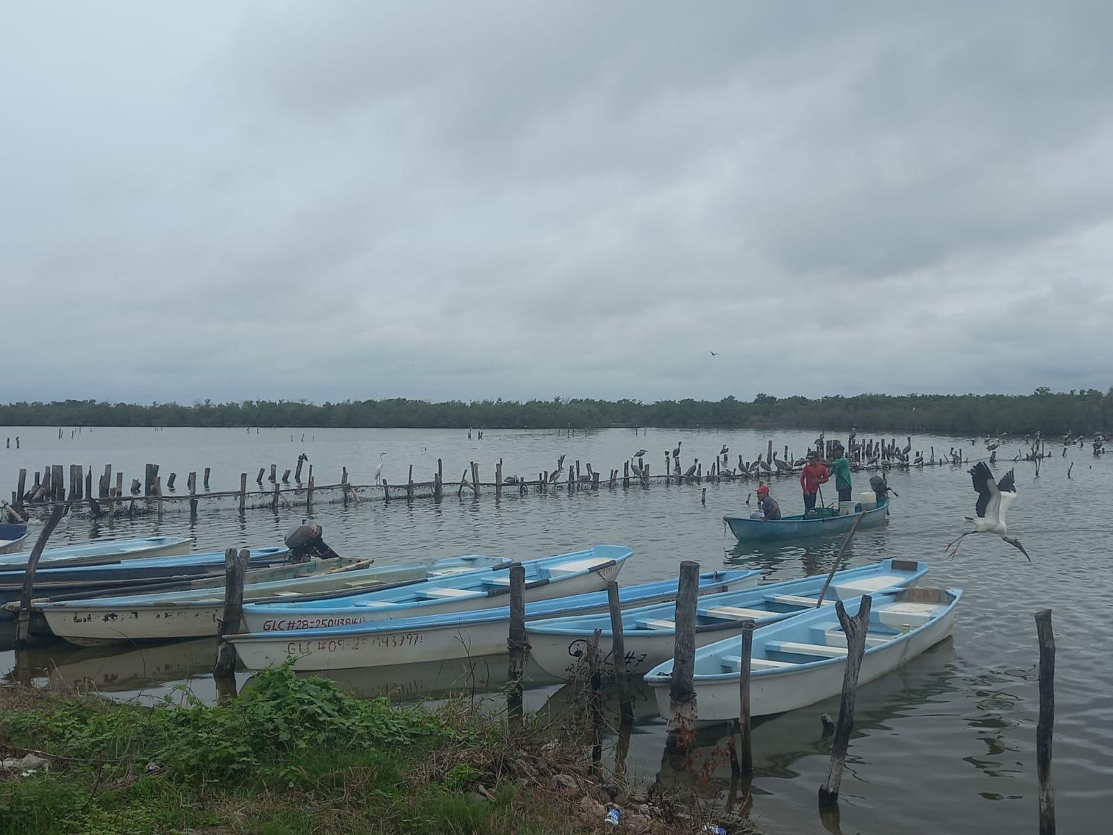 $!Advierten daños a Marismas Nacionales en Escuinapa por actividad acuícola e industria del mango