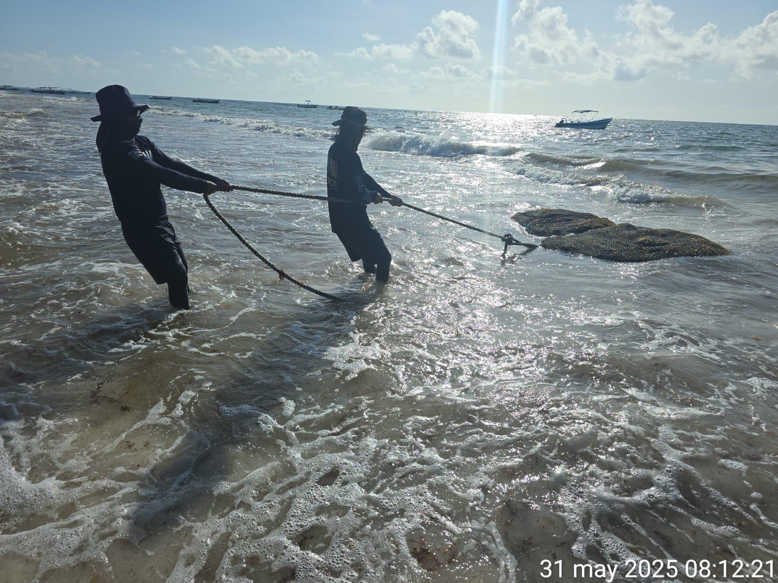 $!Refuerza Marina estrategia contra sargazo en el litoral de Quintana Roo