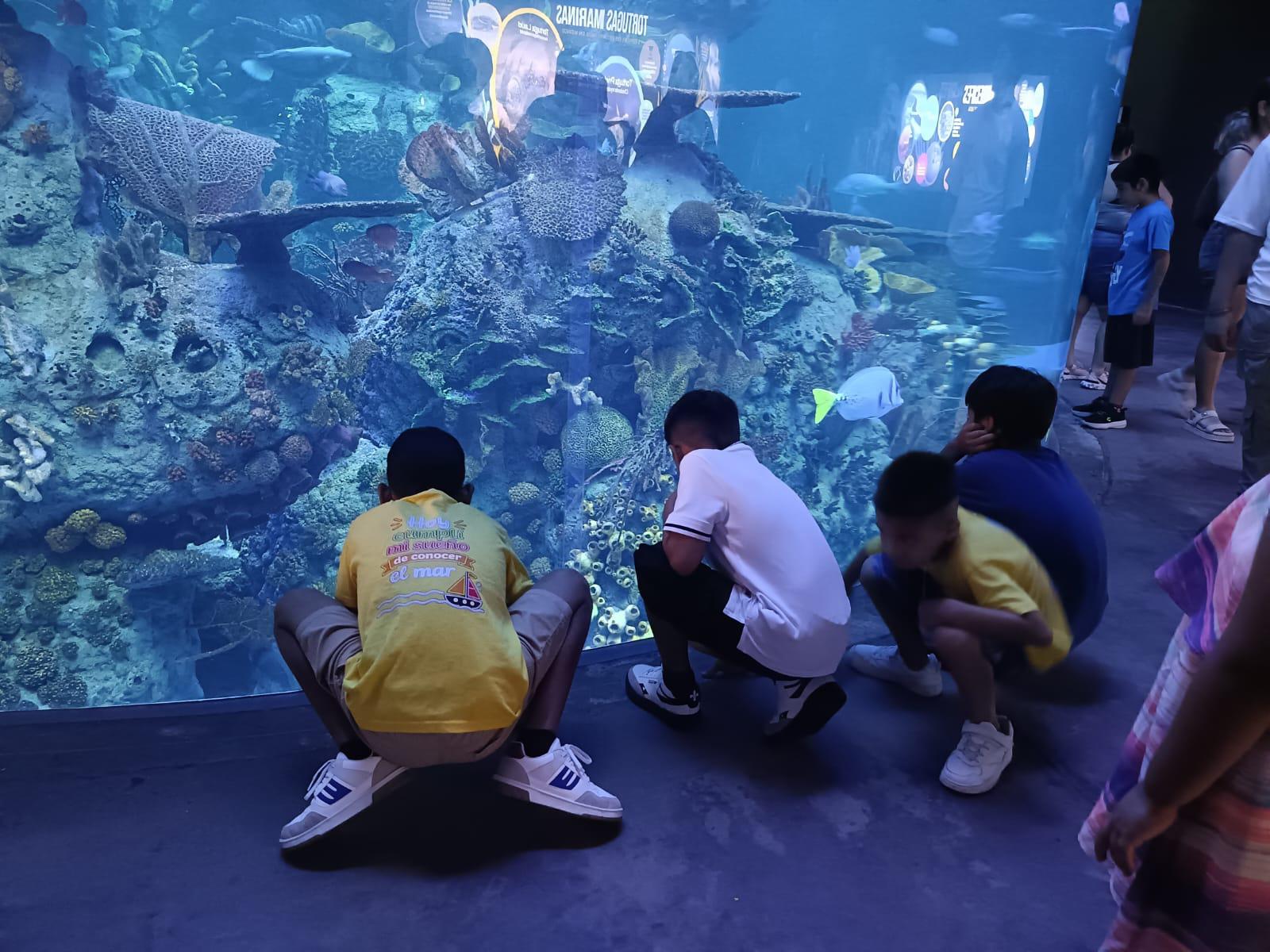 $!Niños de La Laguna cumplen en Mazatlán su sueño de conocer el mar