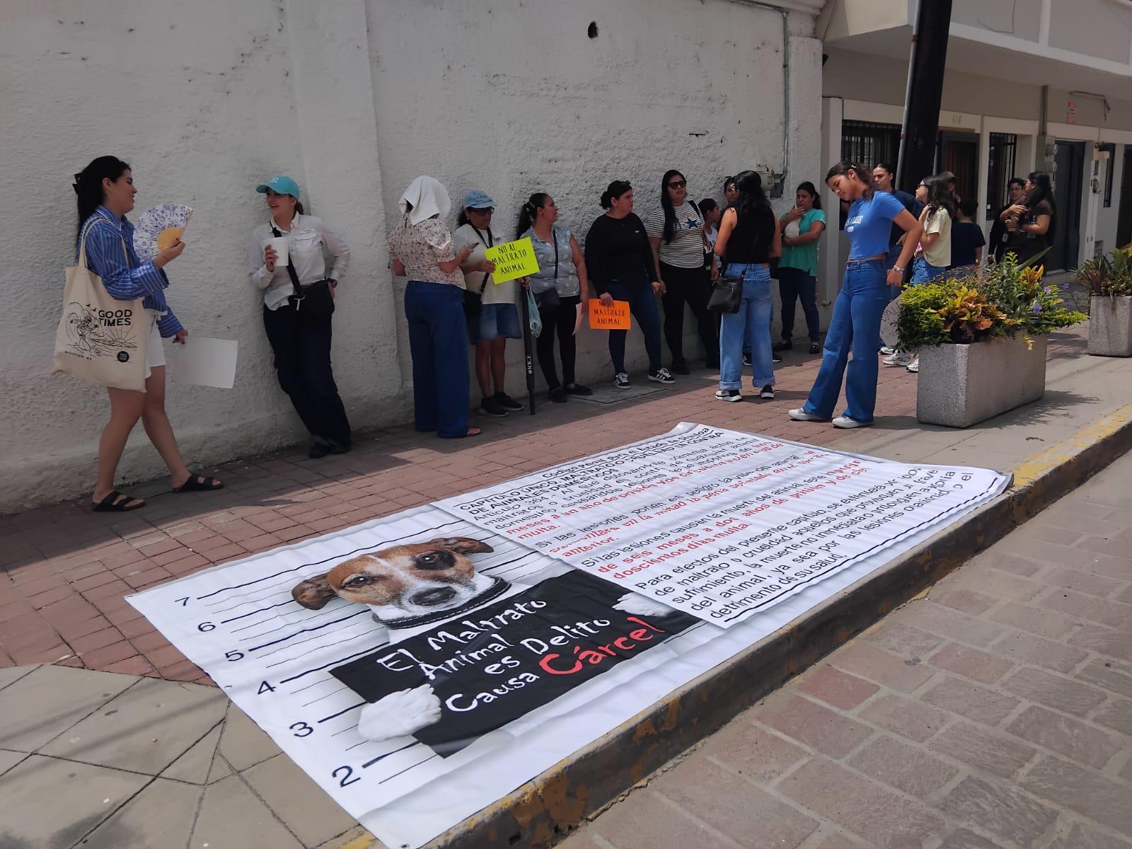 $!Exigen con manifestación que Dirección de Ecología haga su trabajo en contra del maltrato animal