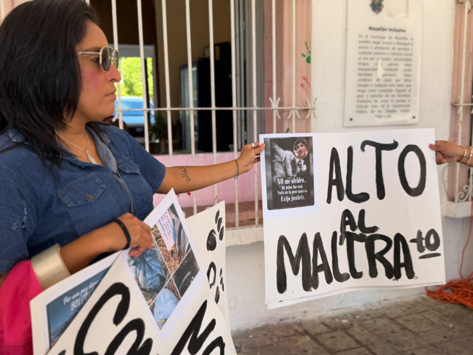 $!Denuncian presunto fraude en crematorio de mascotas en Mazatlán