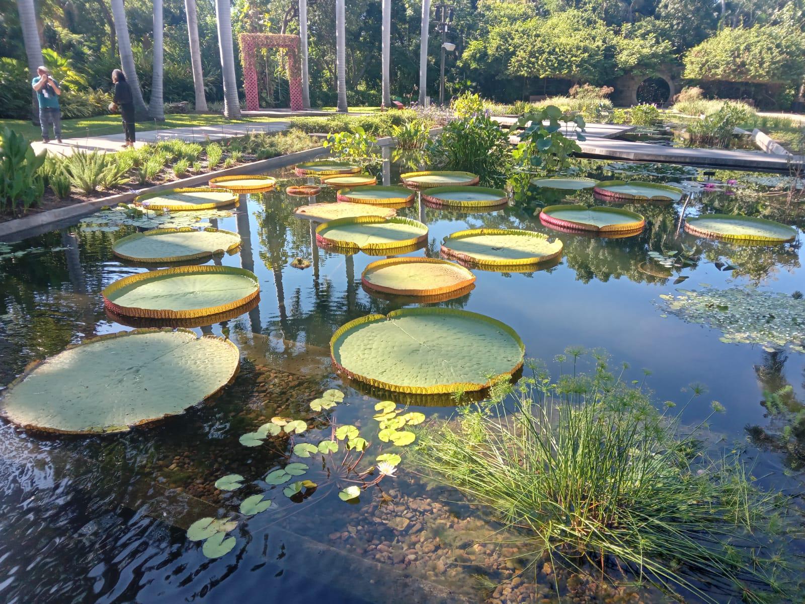 $!El Jardín Botánico de Culiacán será la beneficiada de la Cena con Causa donde se presentará la segunda temporada de ‘A qué sabe Sinaloa’.