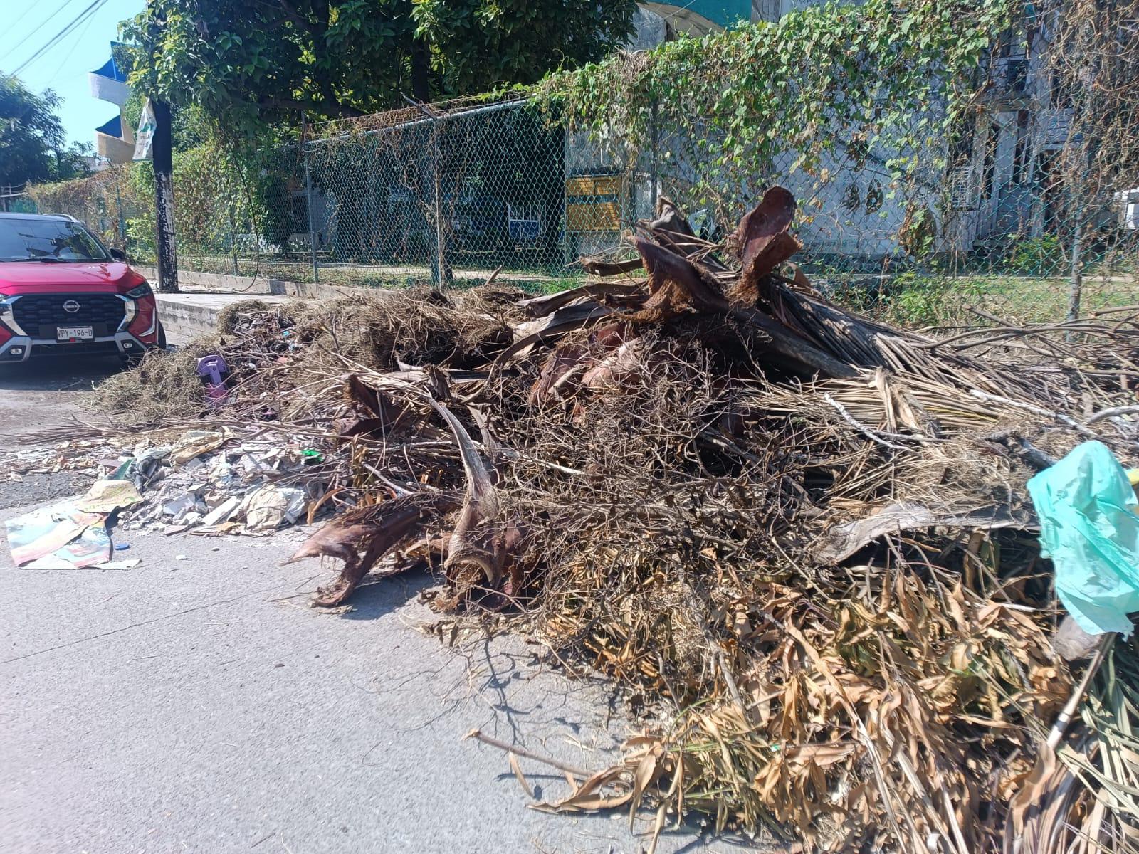 $!Reportan acumulamiento de basura en calle Ignacio Allende de colonia Juan Carrasco, en Mazatlán