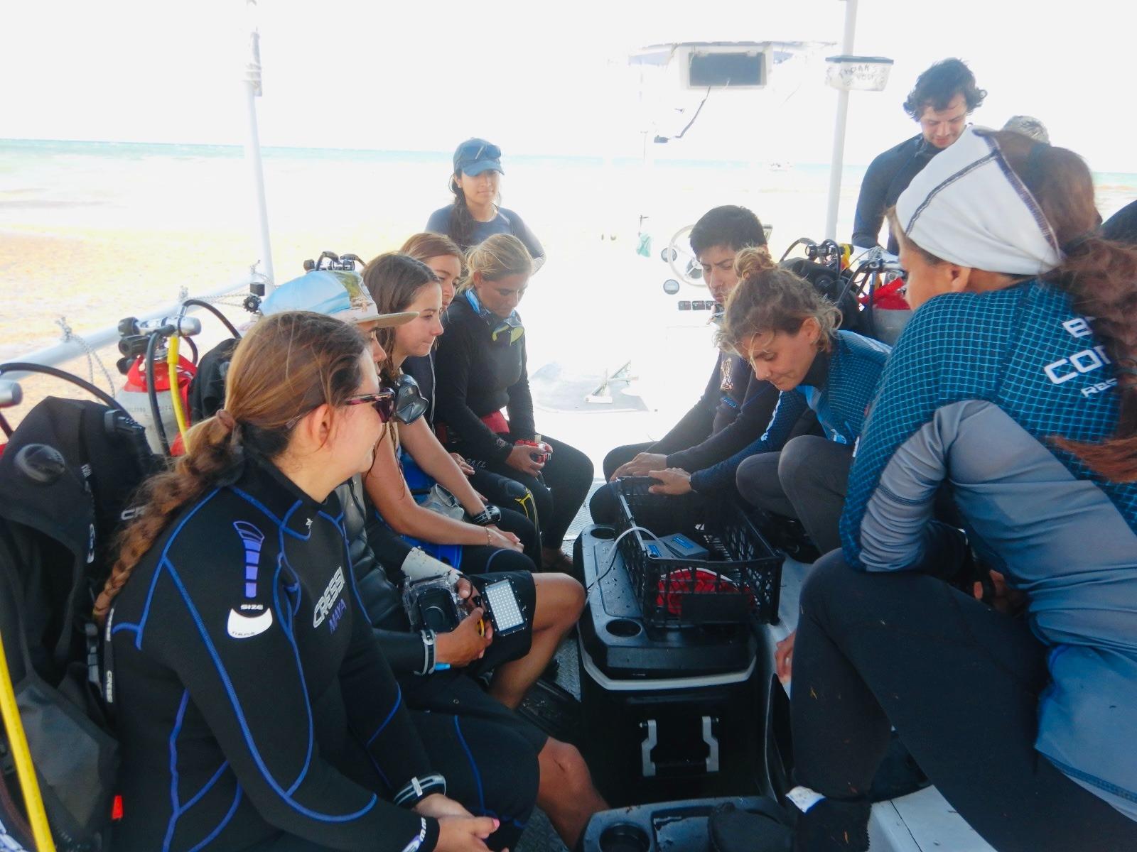 $!La científica Johanna Calle Triviño también colabora con organizaciones internacionales, como Wave of Change.