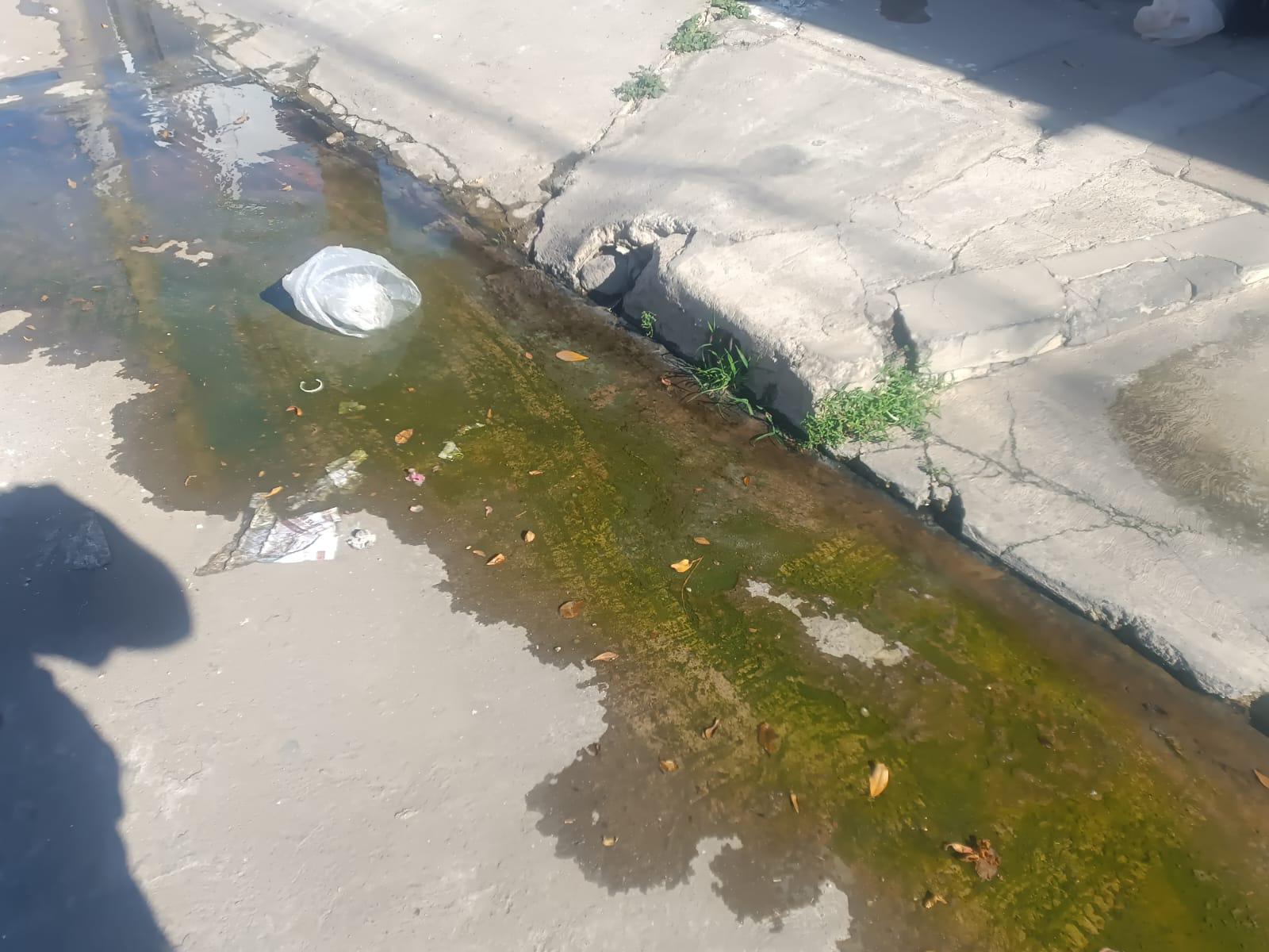 $!Persiste contaminación por fugas de aguas negras en la Calle Río Amazonas, en Campo Bello