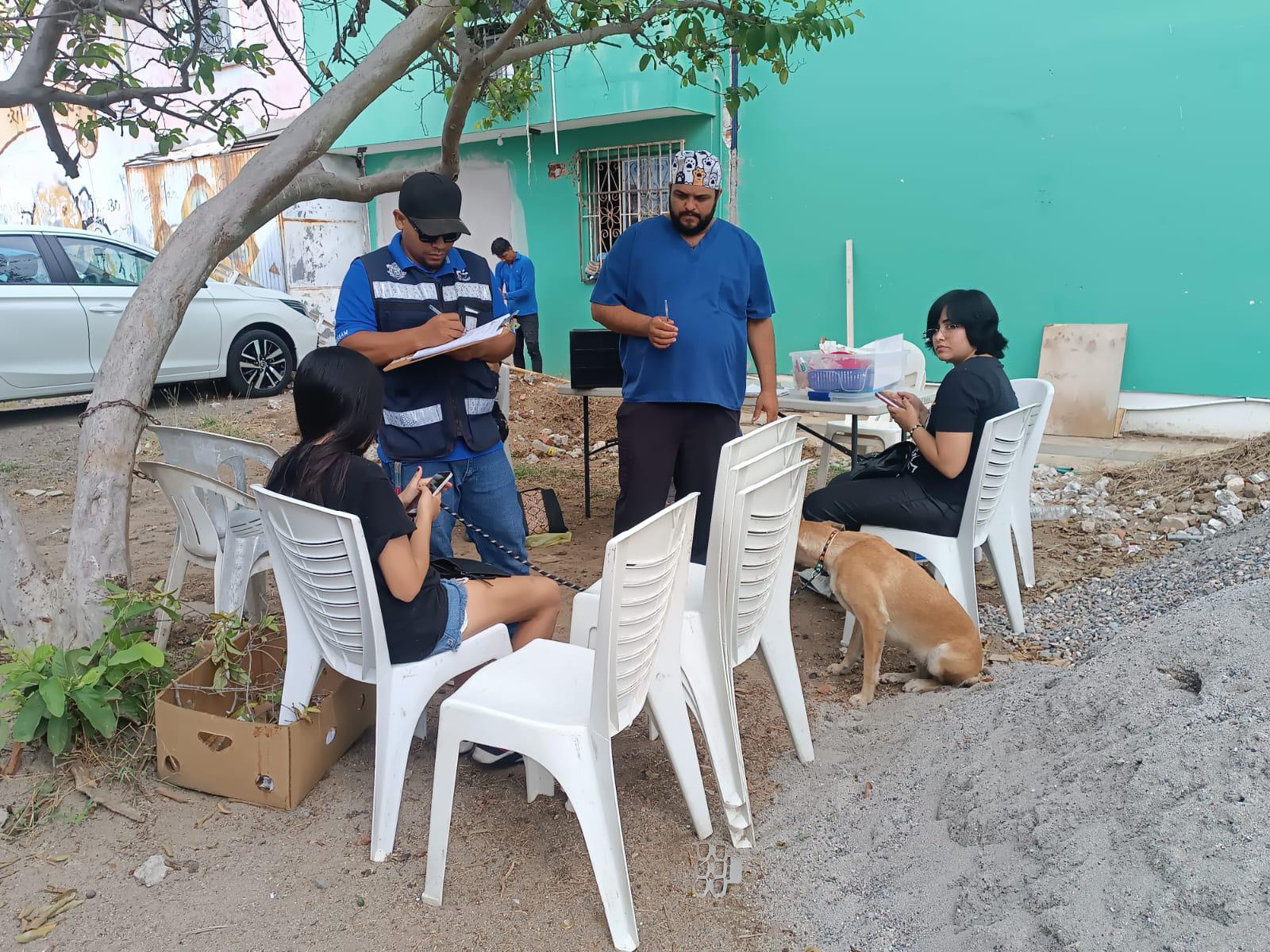 $!Atiende el camión esterilizador hasta 60 mascotas a la semana