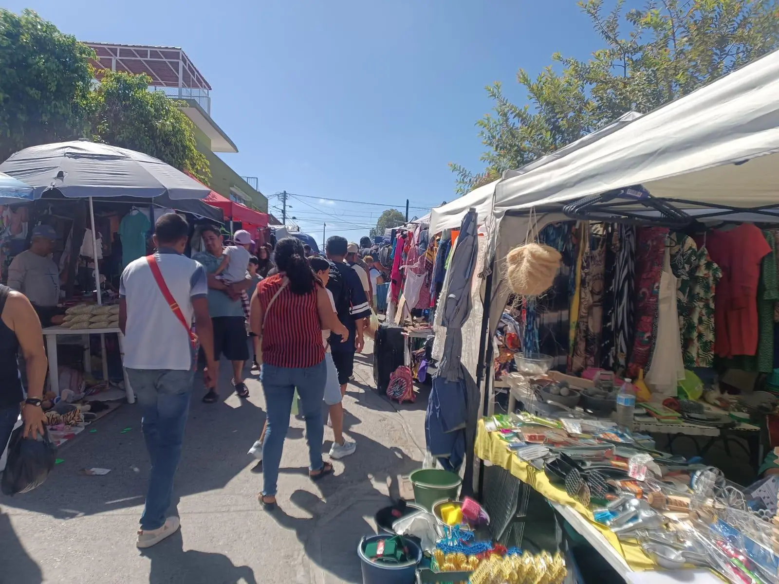 $!Mazatlecos dan vida y color al tianguis de la colonia Benito Juárez pese a mala temporada