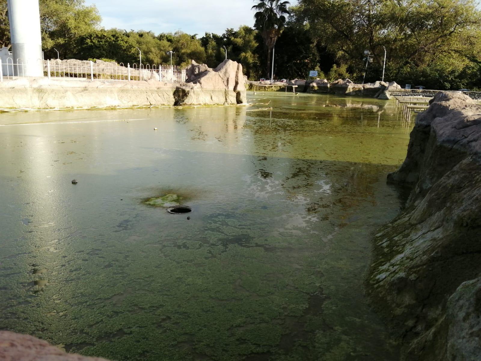 $!En mal estado, las fuentes danzarinas del Asta Bandera en Culiacán