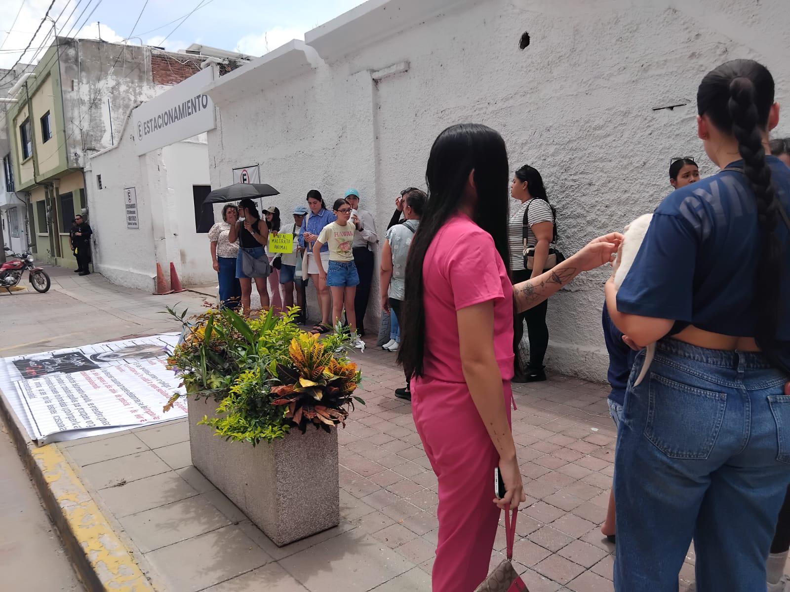 $!Exigen con manifestación que Dirección de Ecología haga su trabajo en contra del maltrato animal