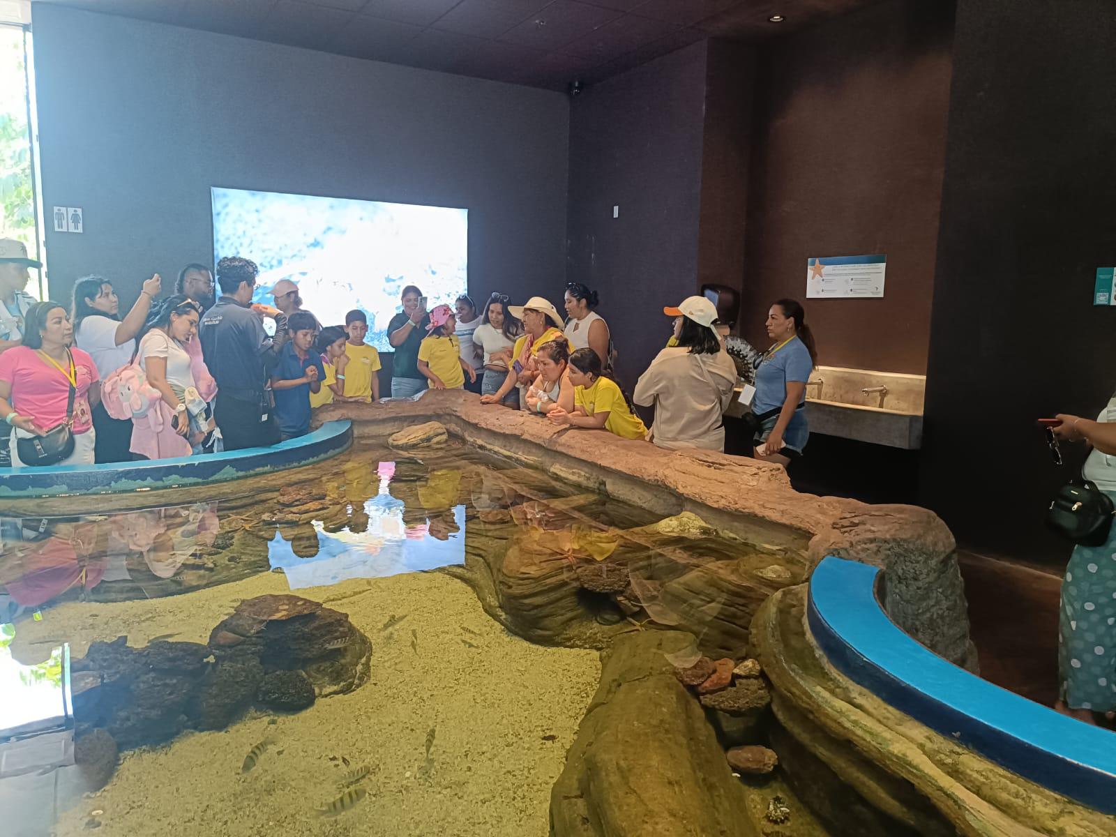 $!Niños de La Laguna cumplen en Mazatlán su sueño de conocer el mar