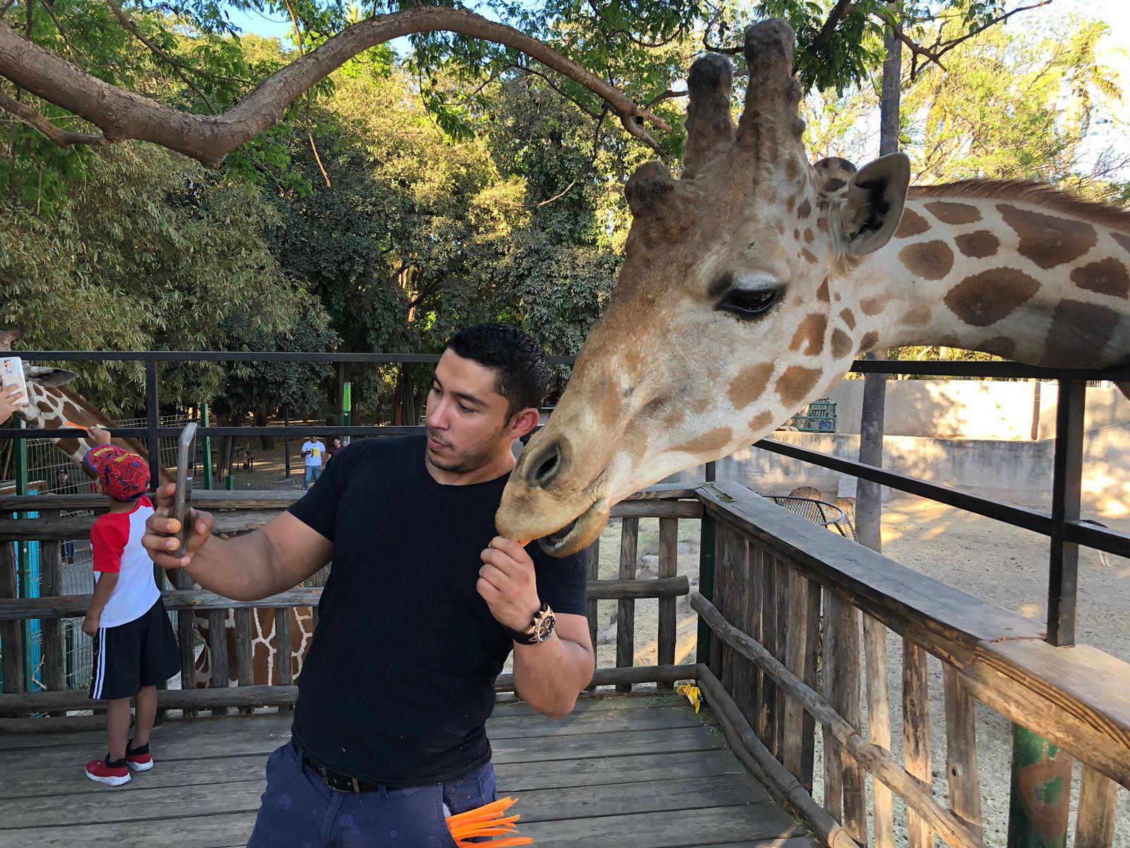 $!Culiacanenses disfrutan sus vacaciones en el Zoológico