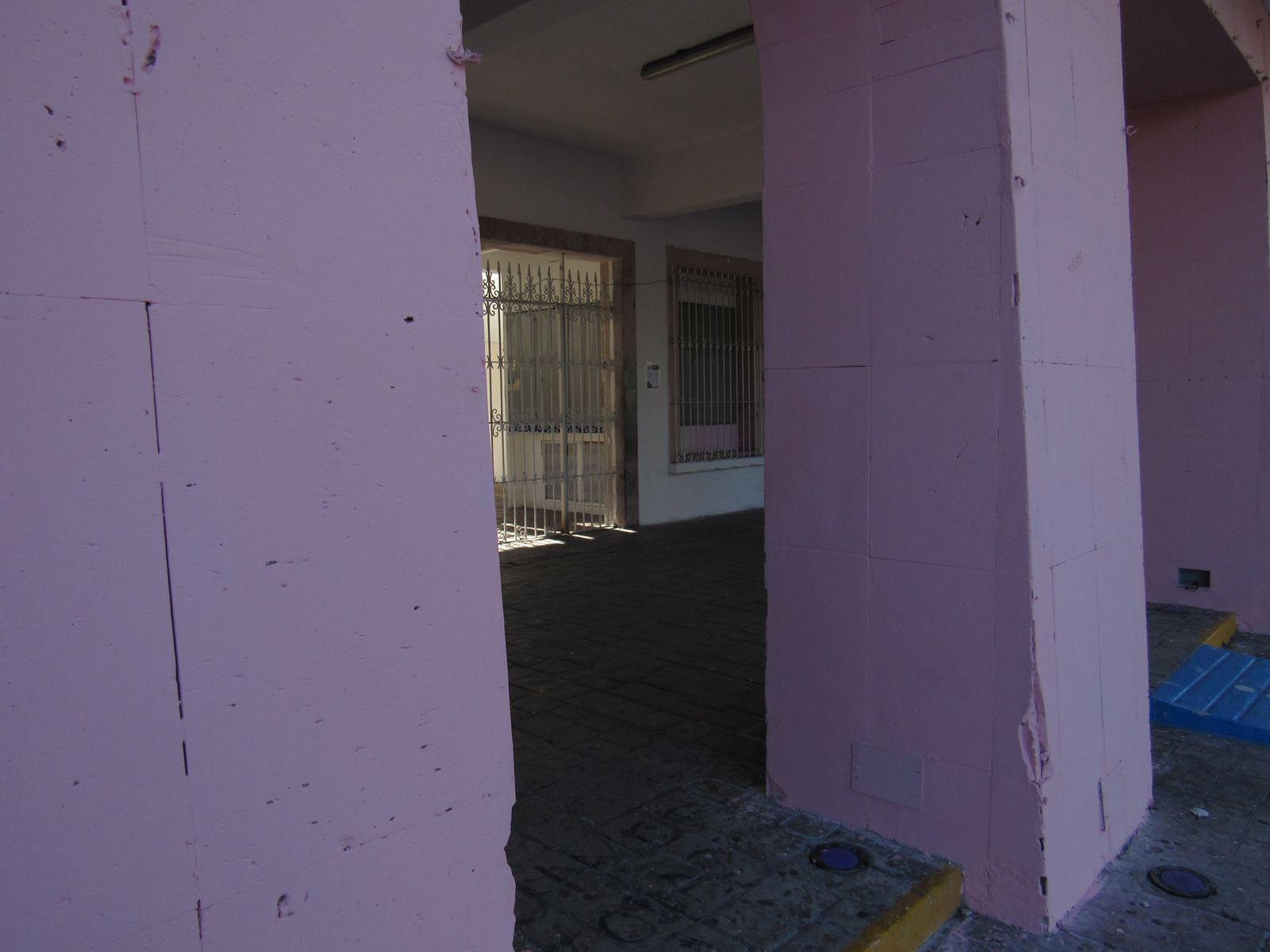 $!Fachada rosa en Palacio Municipal de Mazatlán genera polémica entre ciudadanos