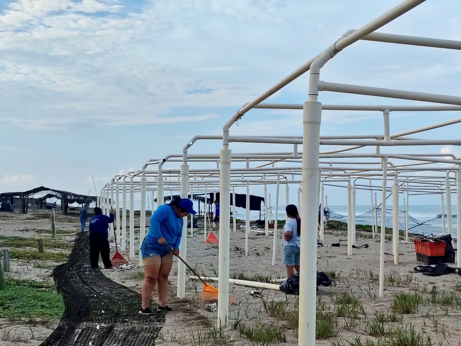 $!Grupo Tortuguero en Rosario inicia trabajos y realiza la primera liberación de 83 crías