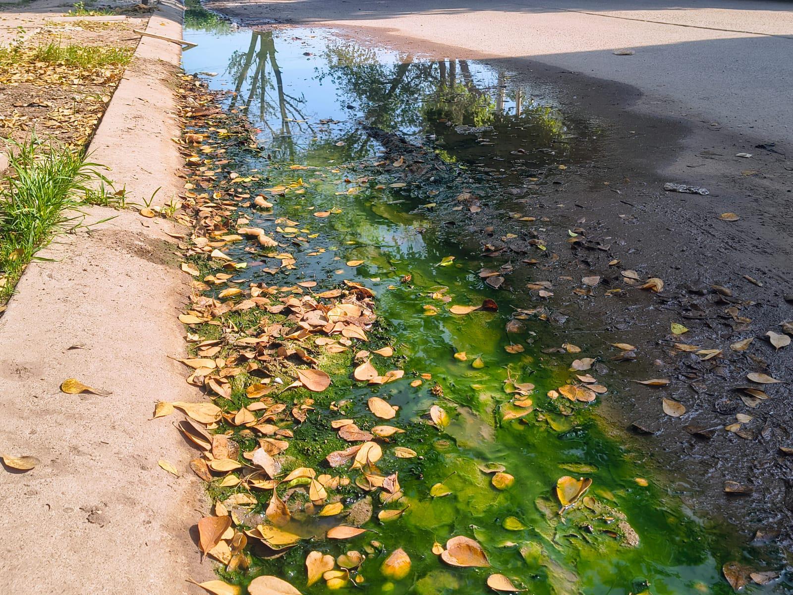 $!Vecinos de Fraccionamiento Virreyes, en Los Mochis, reclaman resolver colapso de drenajes y focos de infección