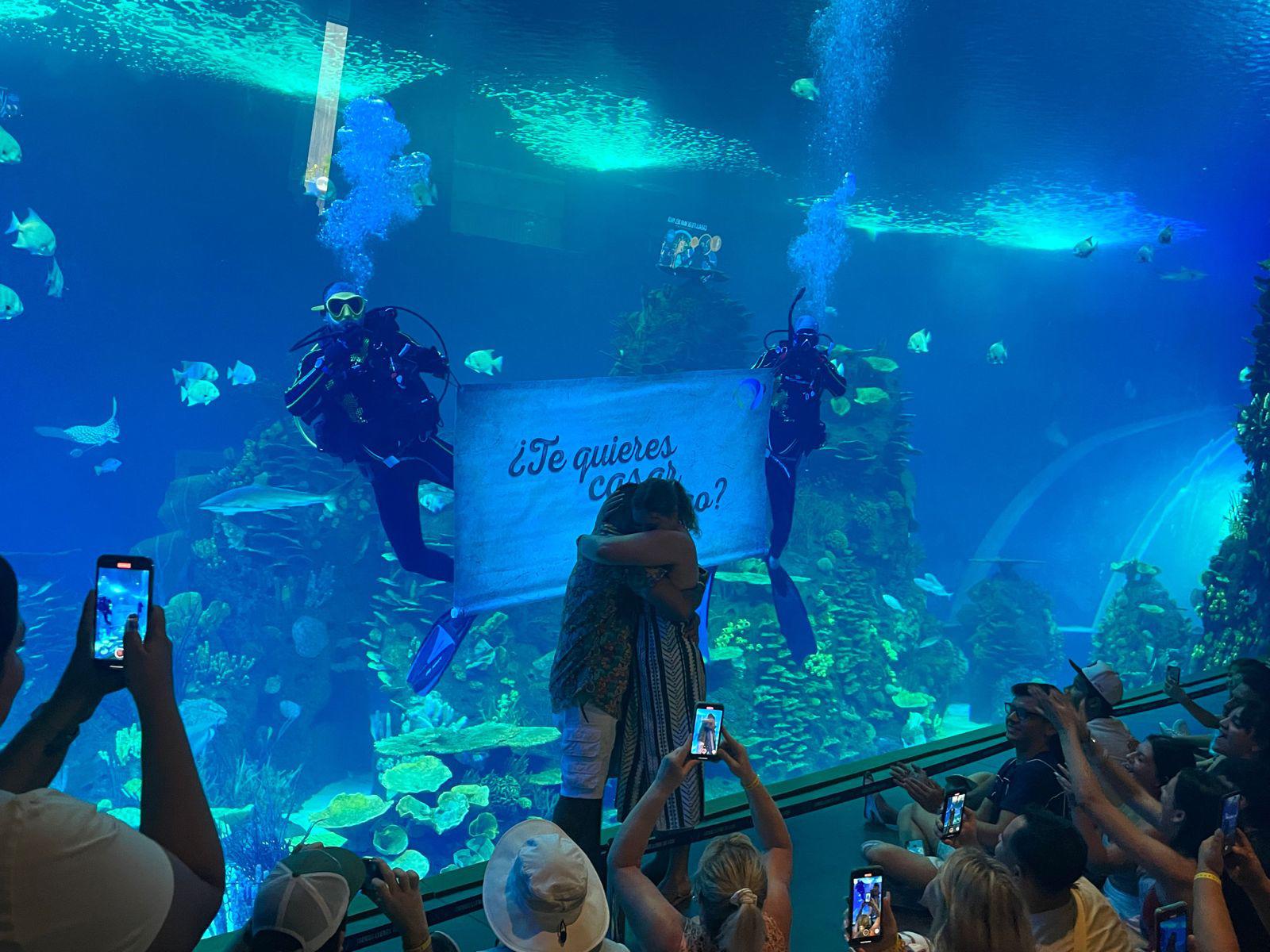 $!Pareja de Arizona se compromete en el Gran Acuario Mazatlán Mar de Cortés