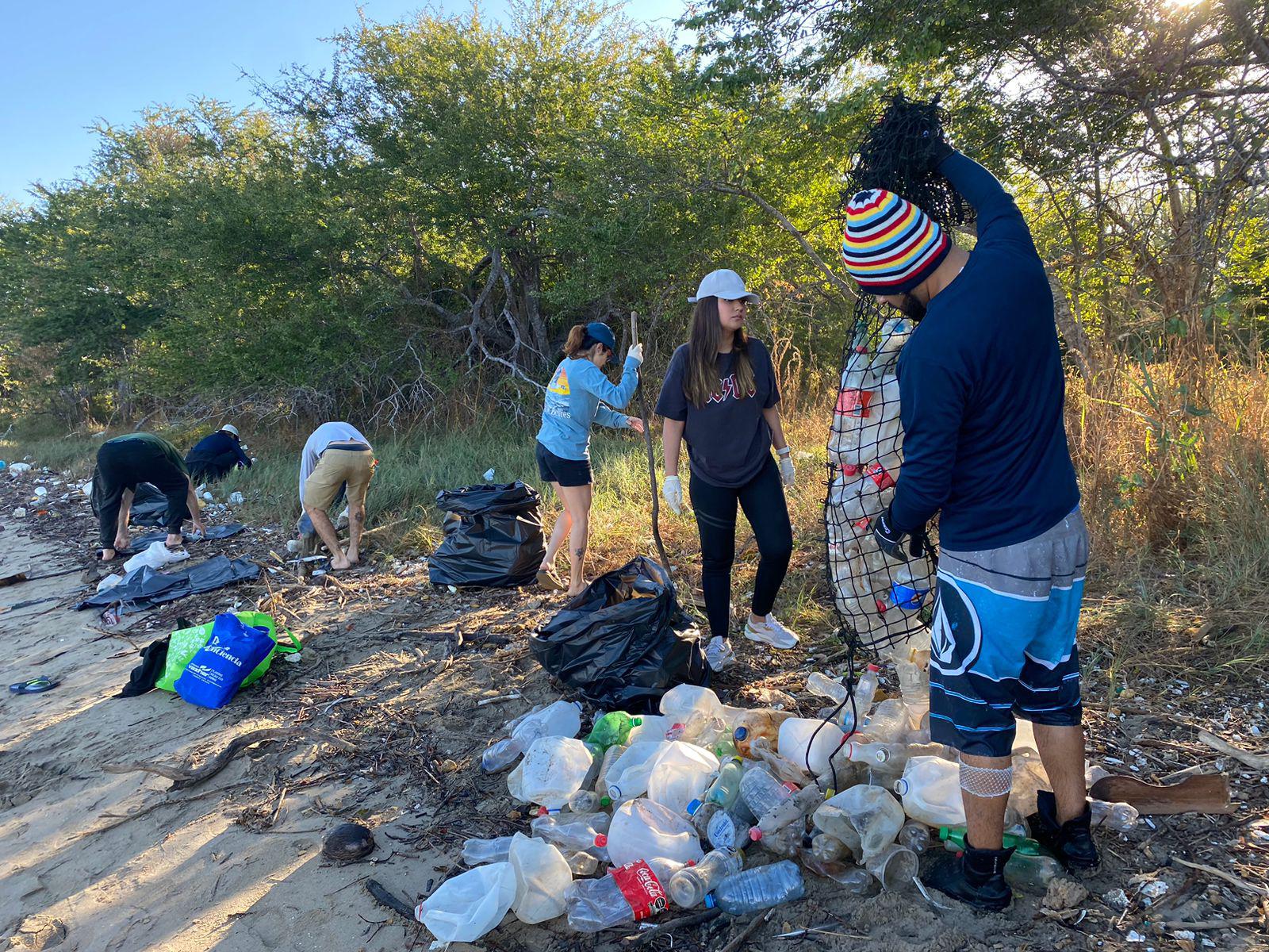 $!Extrae MazConciencia más 600 kilos de basura del manglar de la Isla de la Piedra